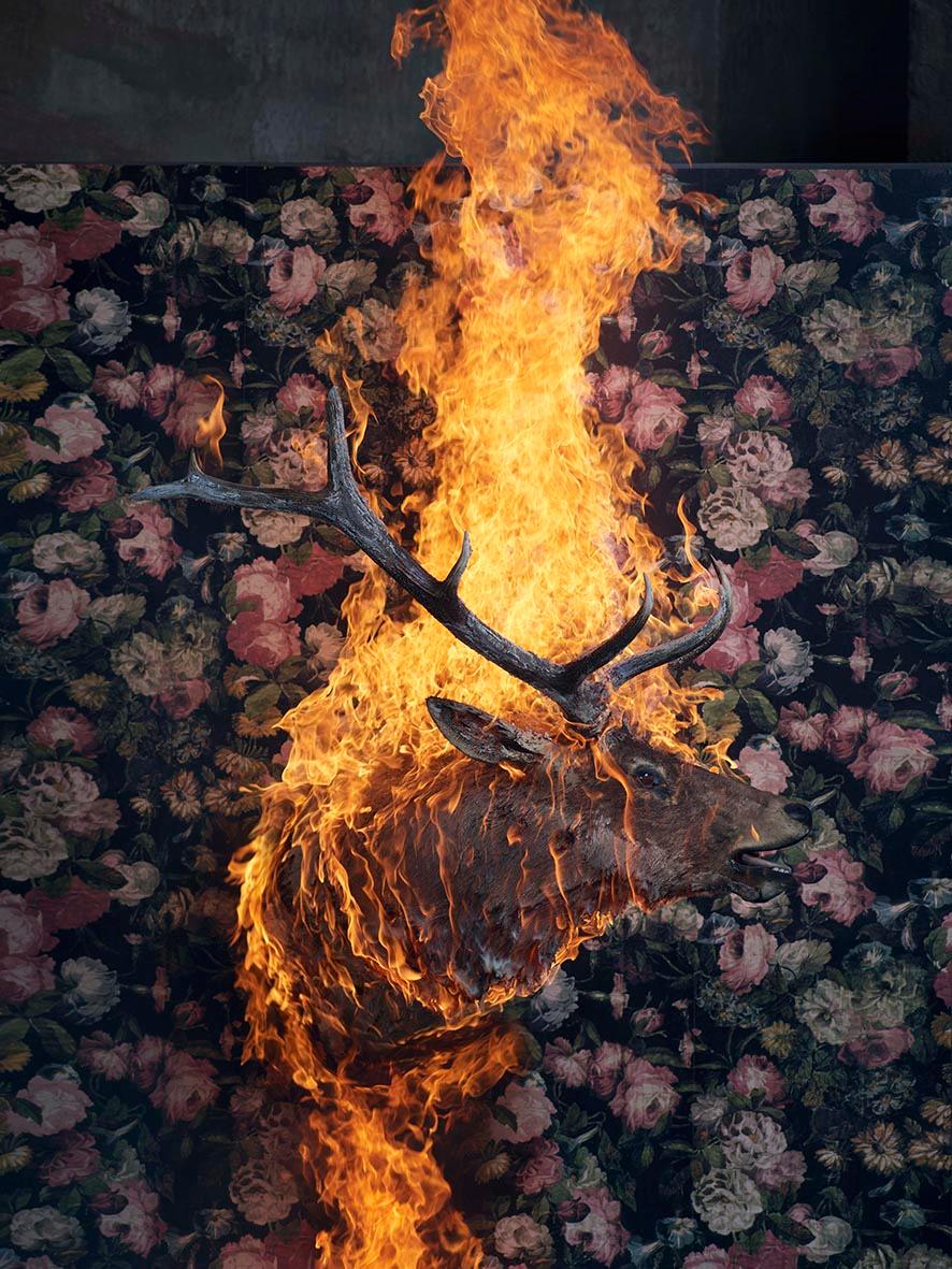 Christian Houge Color Photograph - `Elk`, Oslo- `Residence of Impermanence` animal elk fire nature wallpaper object