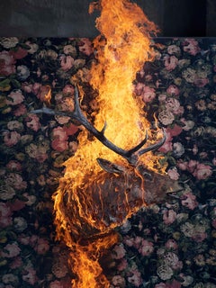 "Elk", Oslo - "Residence of Impermanence" - objet de papier peint animal en forme de feu de nature