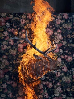 `Alce`, Oslo- `Residencia de la Impermanencia` animal alce fuego naturaleza papel pintado objeto