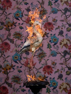 `Flamingo`, Oslo- `Residencia de la Impermanencia`- taxidermia de aves naturaleza animales fuego