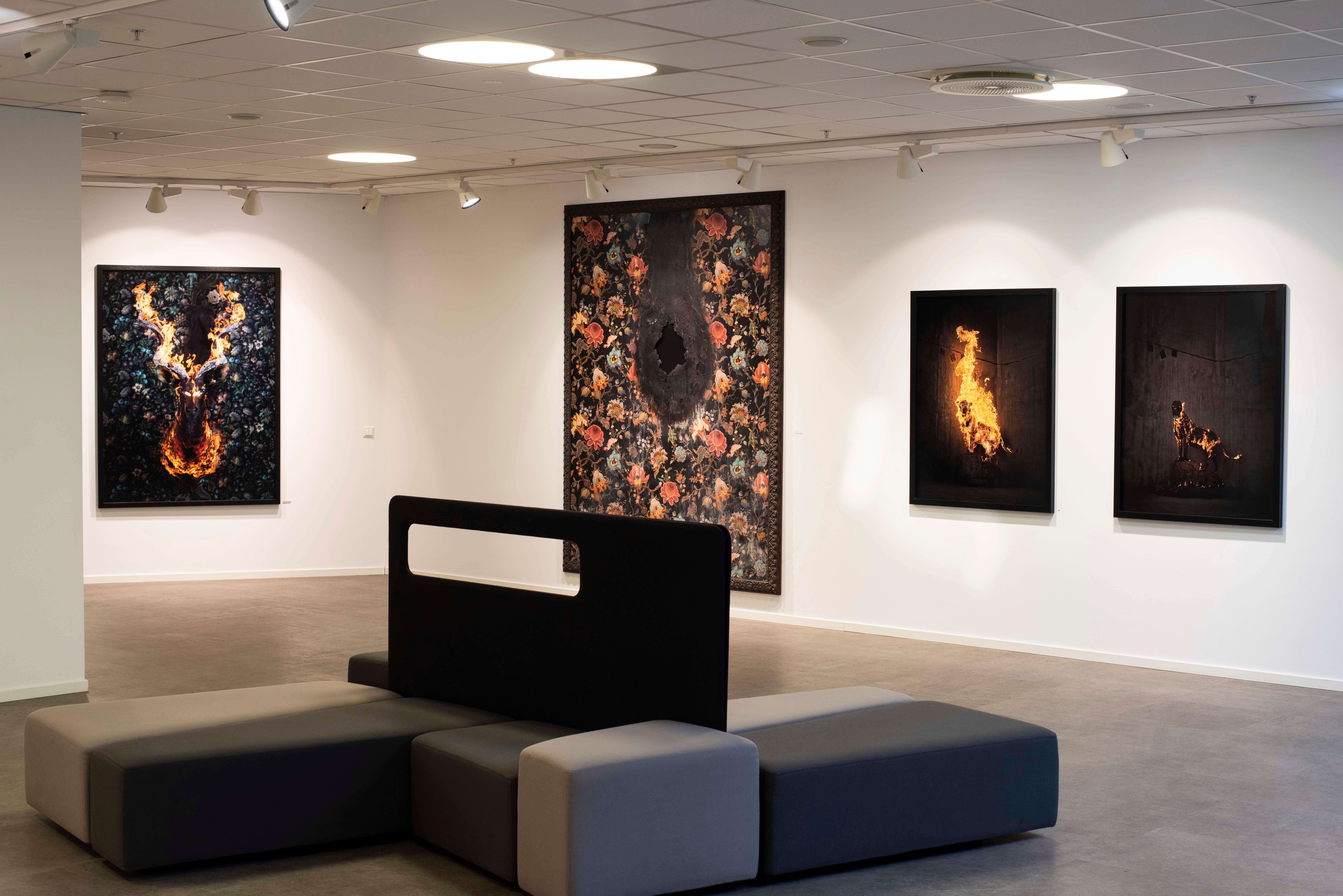 `Kudu`, Oslo - `Residencia de la Impermanencia` - Taxidermia a fuego de la naturaleza animal - Photograph Otro estilo de arte de Christian Houge