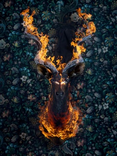 `Kudu`, Oslo - `Residence of Impermanence`-animal nature fire taxidermy