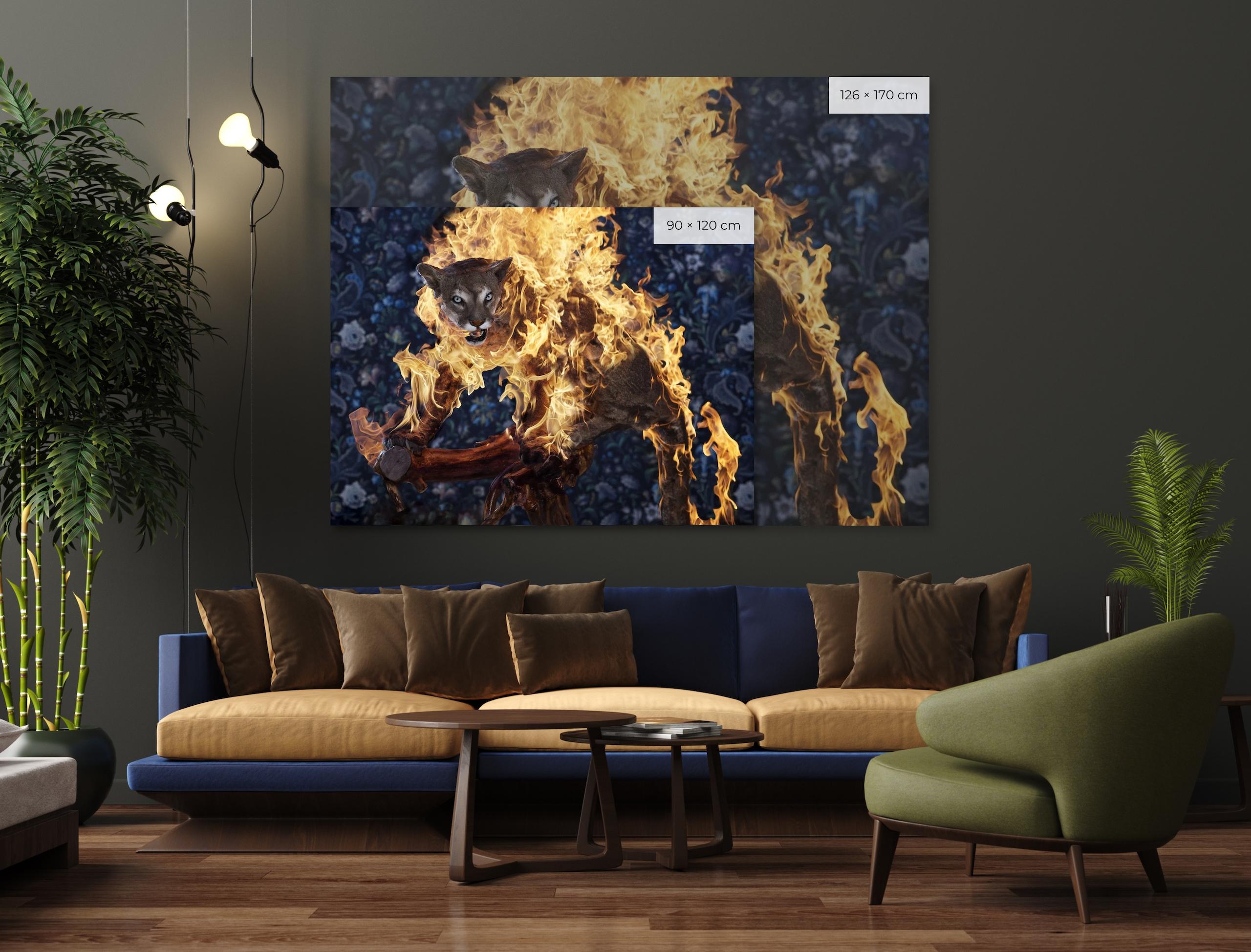 Puma, Residence of Impermanence series by Christian Houge - Photo, feline For Sale 1