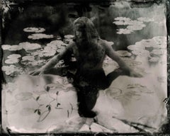 Photographie en couleur