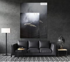 Swan in Flight 2 by Christian Houge - Contemporary Photography, Animal