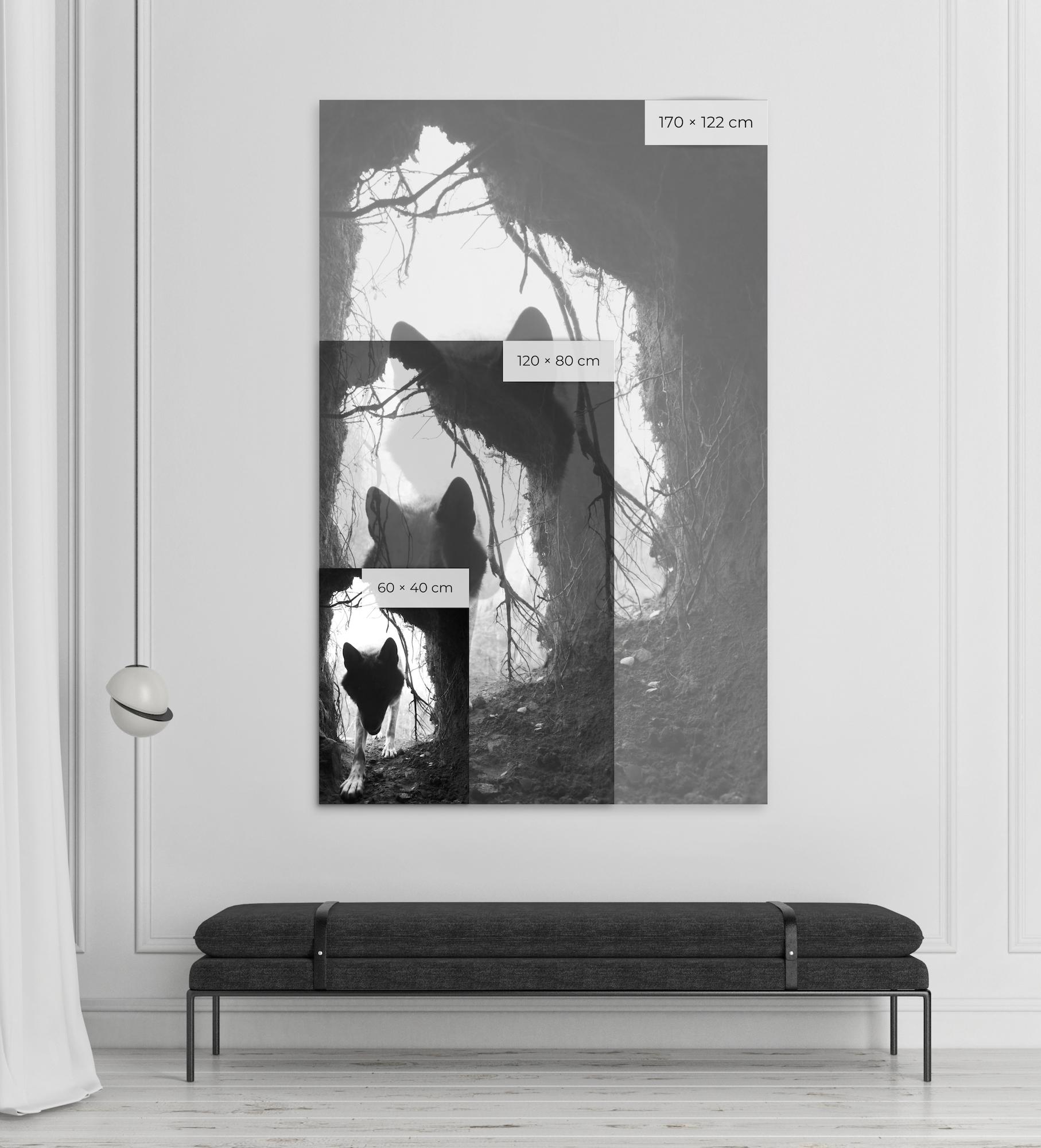 Untitled 13, Shadow Within, Norvège/USA de Christian Houge - Photo, noir et blanc en vente 1