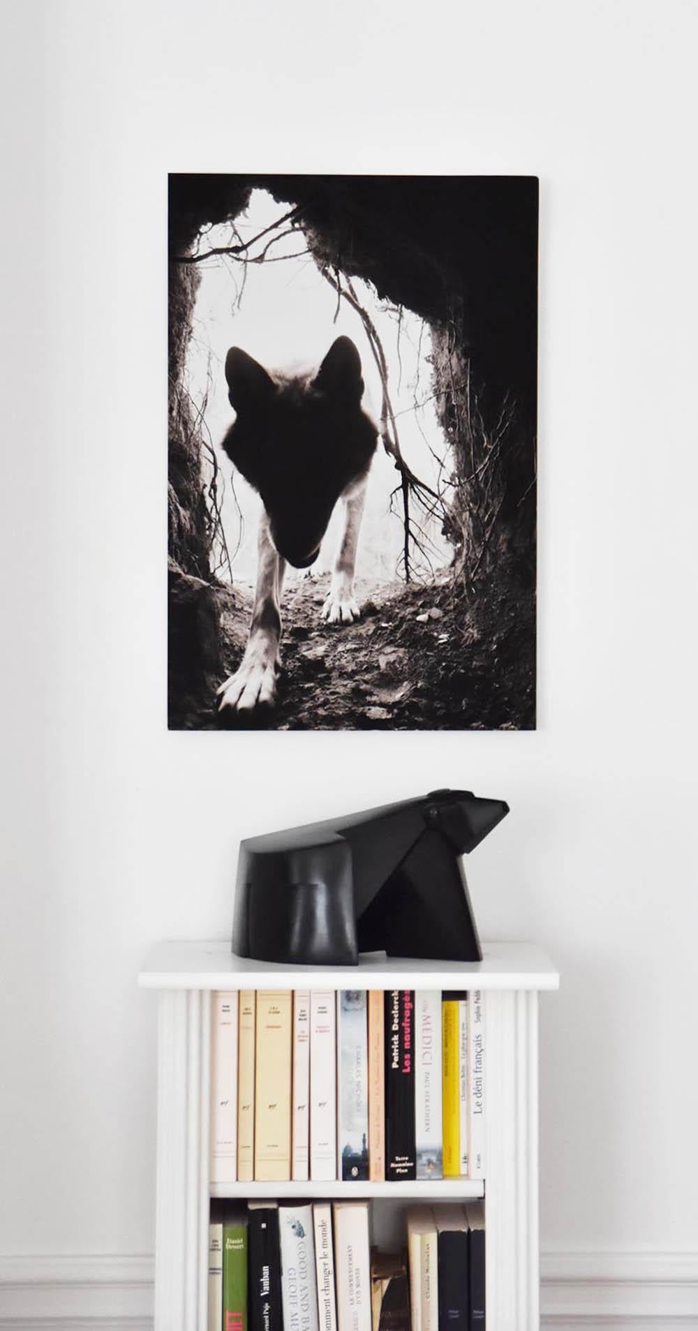 Untitled 13, Shadow Within, Norvège/USA de Christian Houge - Photo, noir et blanc en vente 2