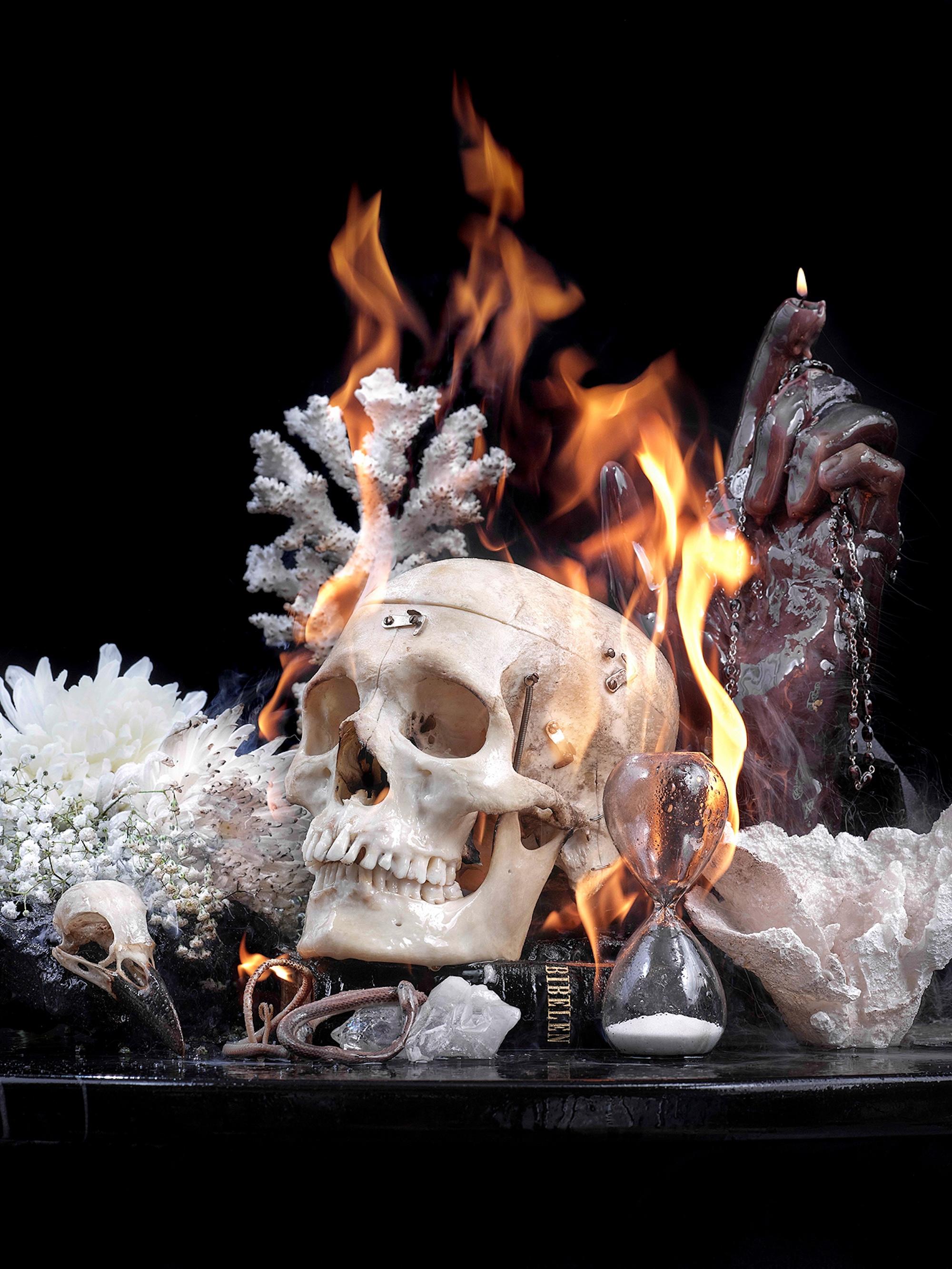 Vanitas 7, Vanitas par Christian Houge - Photographie, vanitas, crâne