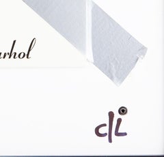 Christian Legier - Bananart - Andy Warhol - Velvet Underground