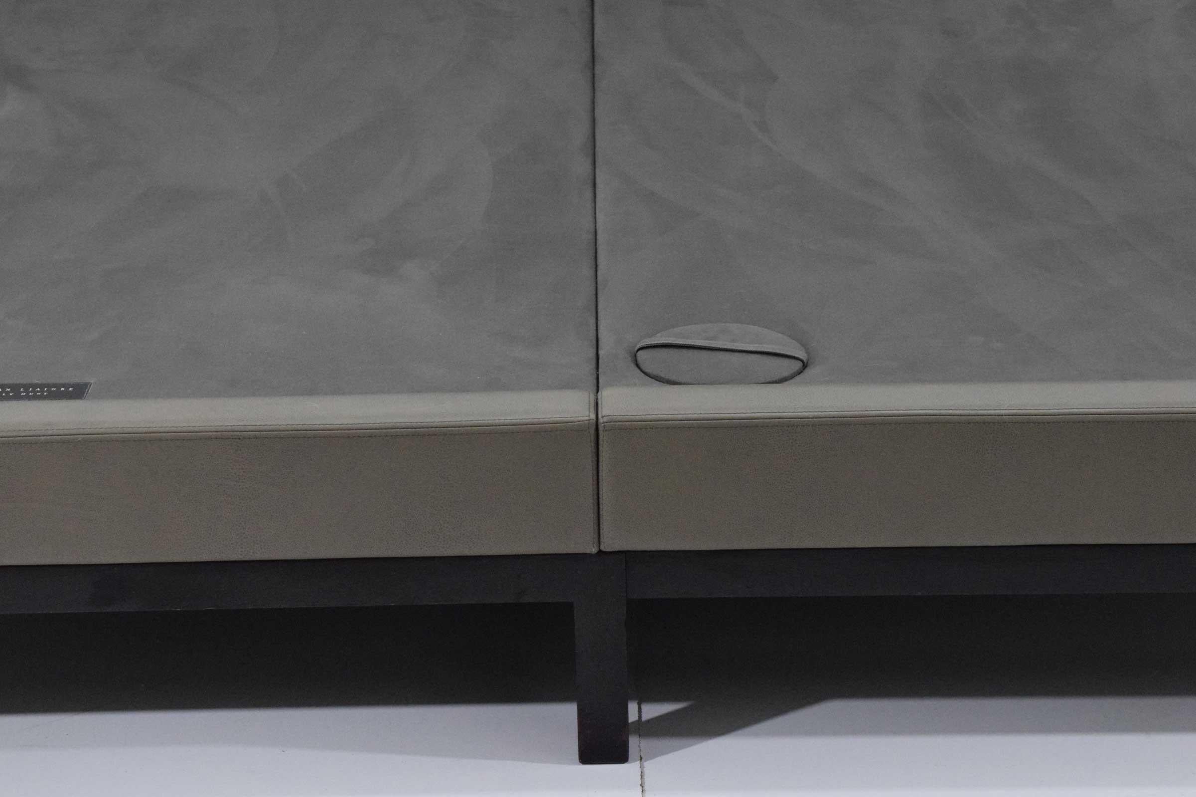 Christian Liaigre for Holly Hunt King Bed In Good Condition In Dallas, TX