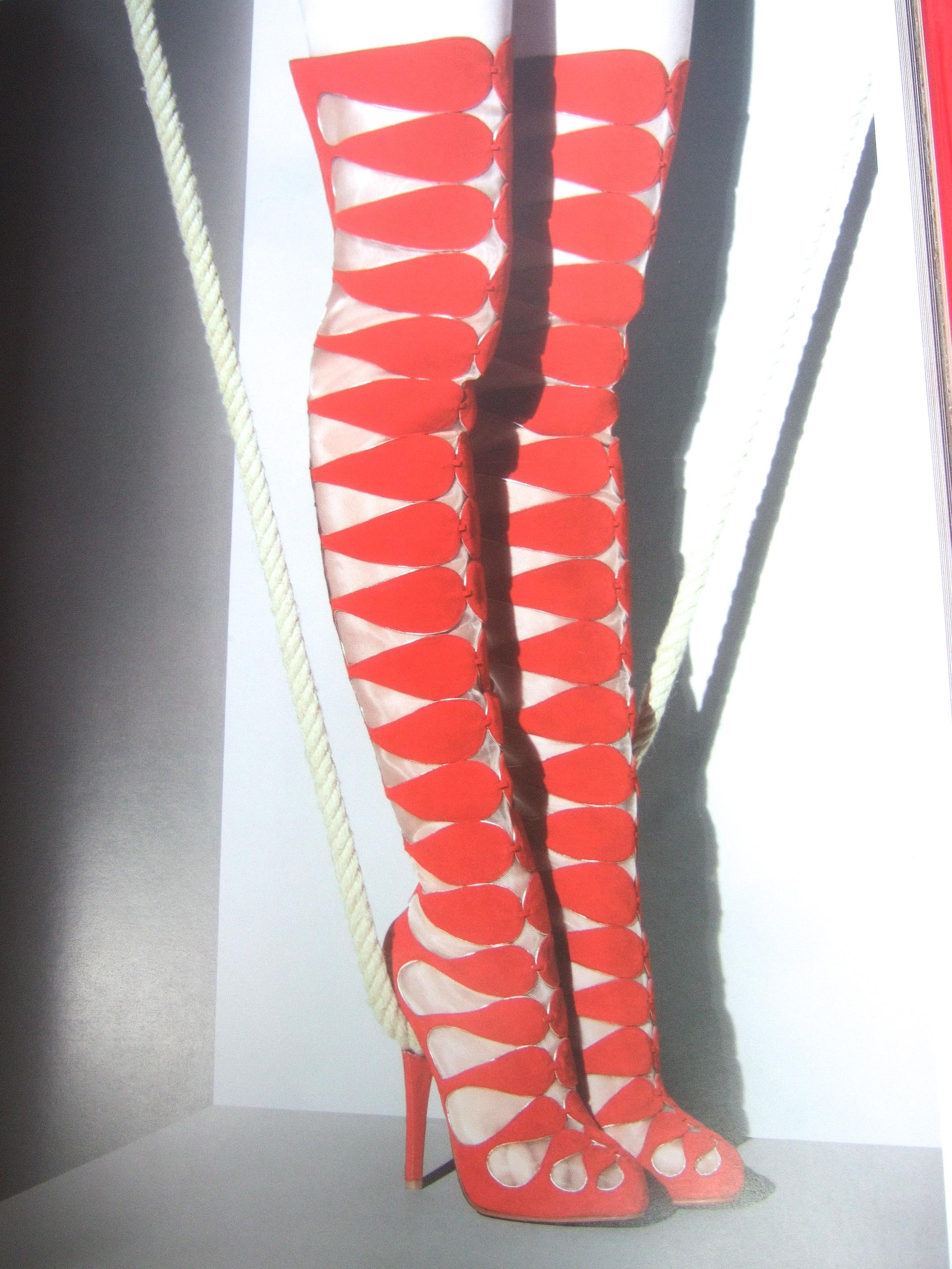 Christian Louboutin 1st Edition hardcover Rizzoli book c 2011
The hardcover book is an archive of Louboutin's exquisite shoe designs
There is a forward from actor John Malkovich

The book documents his early life and career. Features an array of his
