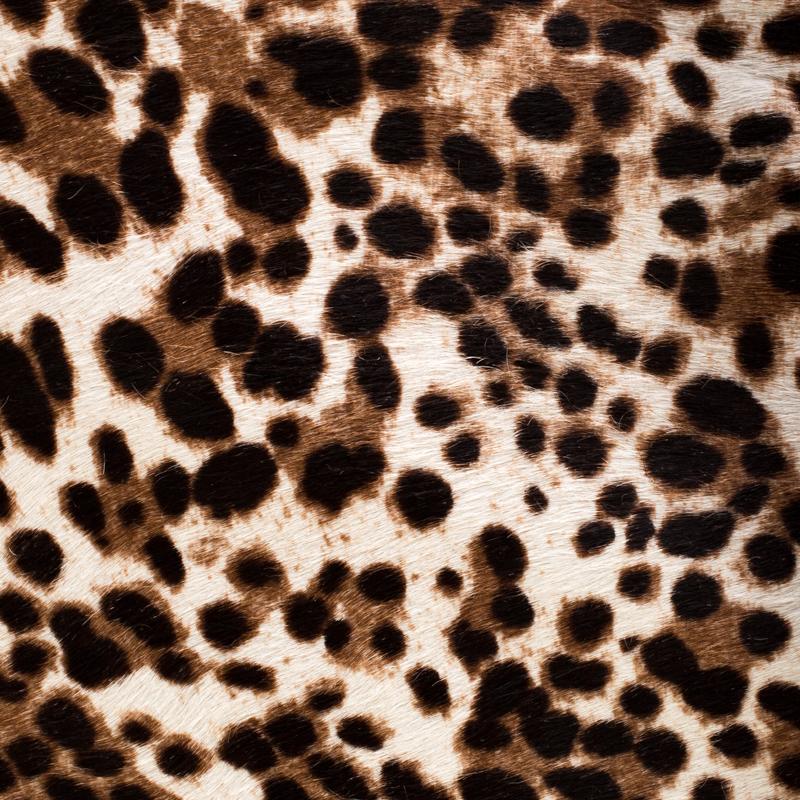 Christian Louboutin  Leopard Print Calfhair & Leather Passage Shoulder Bag 3
