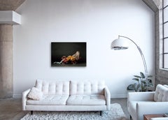 Creature I ( 28 x 40" / 71 x 102cm )