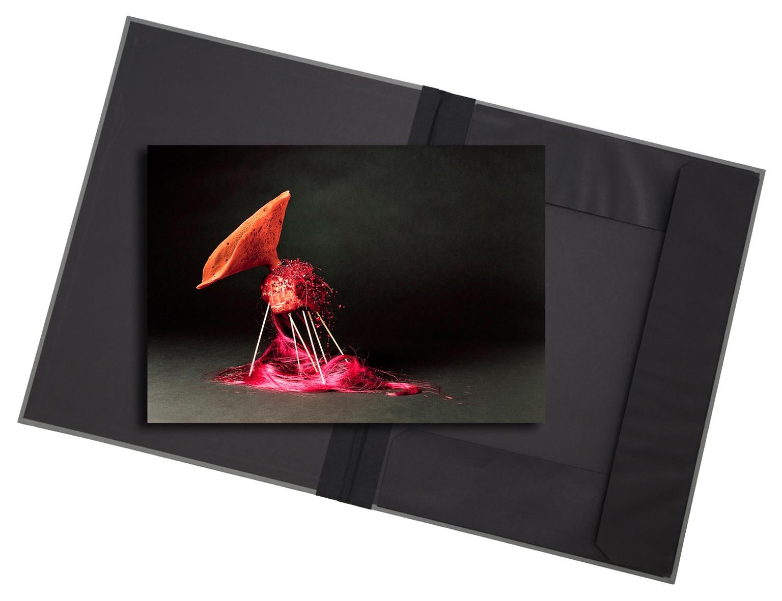 Creature II - limited edition photograph in archival portfolio gift binder - Print by Christian Stoll