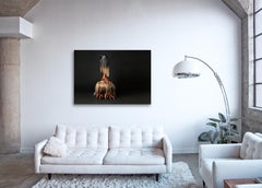 Creature III ( 48 x 68" / 122 x 173cm )