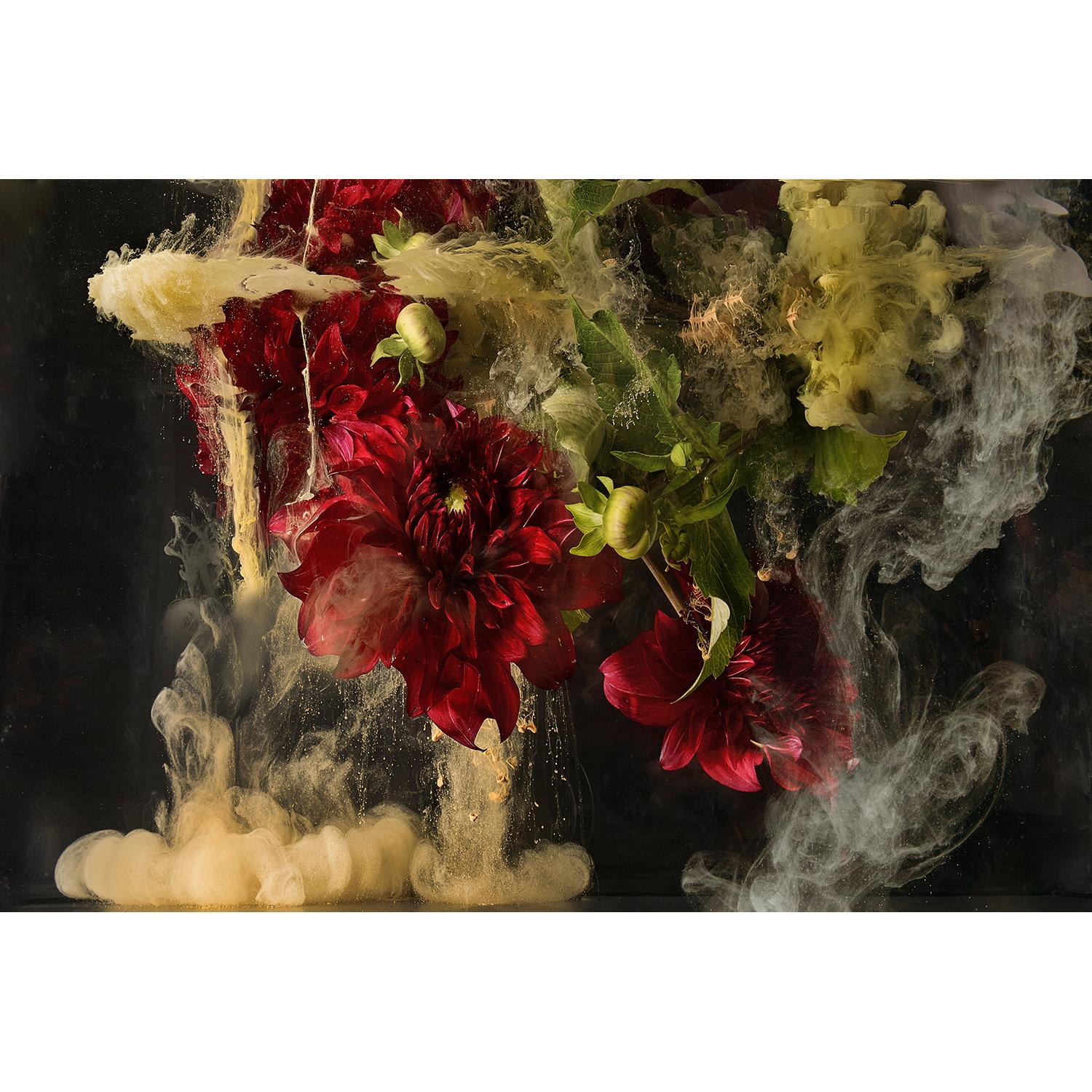 Großflächige Abstraktion von floralen Wasserwolken  in einer flüssigen Landschaft

FLORA I von Christian Stoll

48 x 76 Zoll (122 x 193cm)
signierte Auflage von 7 Stück

25 x 40 Zoll (64 x 102cm)
signierte Auflage von 25 Stück

archivfähiger