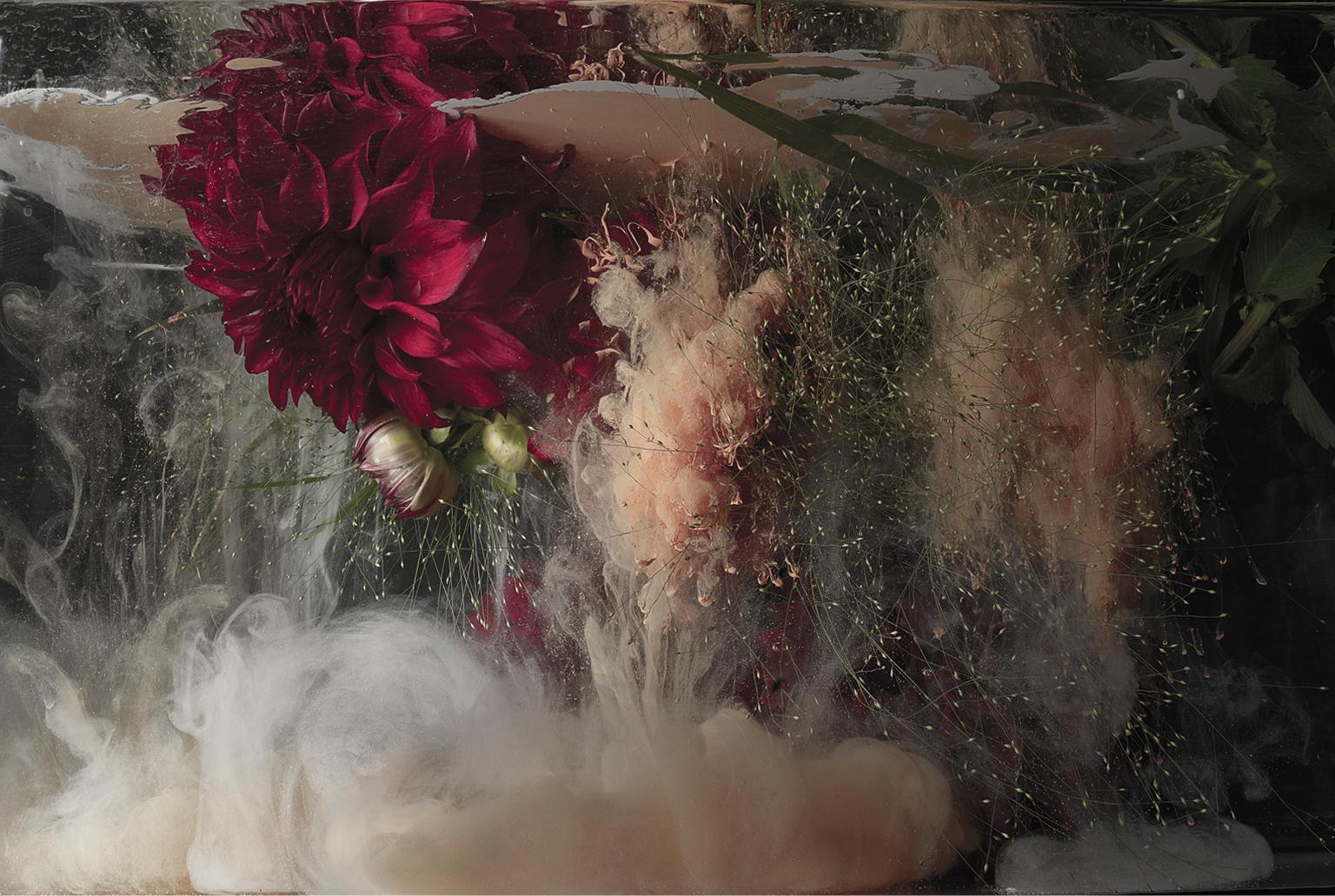 Flora ll - photographie grand format d'explosion de nuages floraux et liquides abstraits - Noir Still-Life Print par Christian Stoll