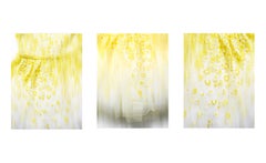 TULLE Tríptico - fotografías abstactas de hipnotizantes detalles de textura (64x48")