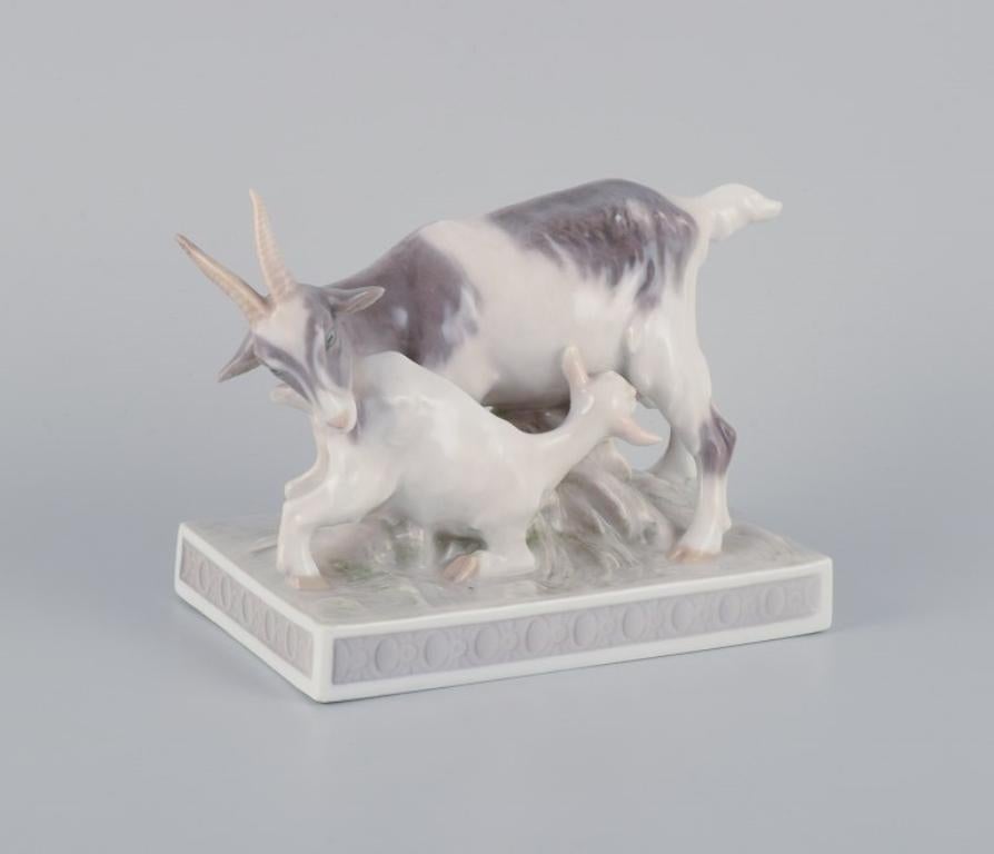 Christian Thomsen for Royal Copenhagen, rare porcelain figurine of a goat with kid.
From the 1920s.
Model 665.
First factory quality.
Marked.
In excellent condition with minor firing flaws from production.
Dimensions: L 17.0 cm x W 8.8 cm x H 12.5