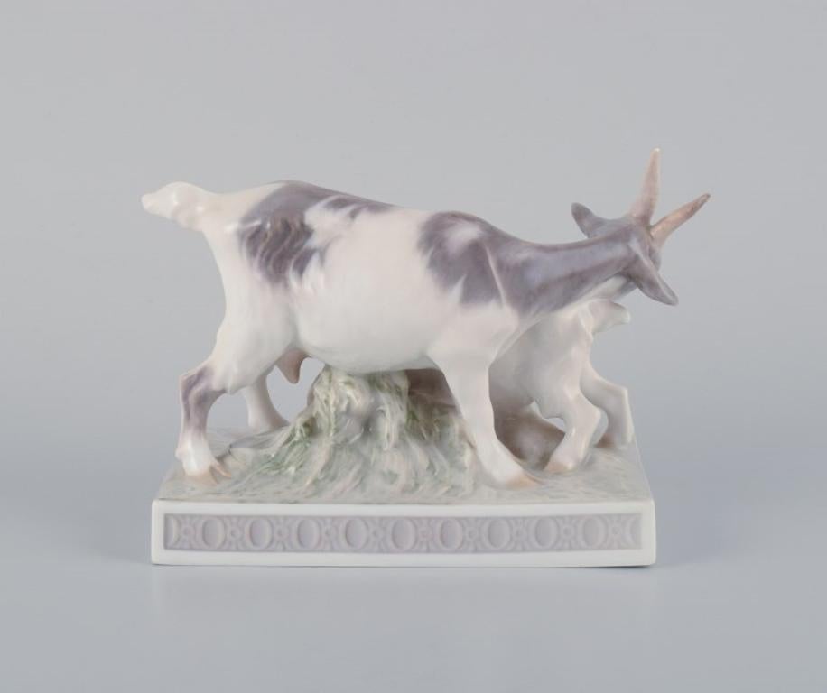 Early 20th Century Christian Thomsen for Royal Copenhagen, rare porcelain figurine, goat with kid