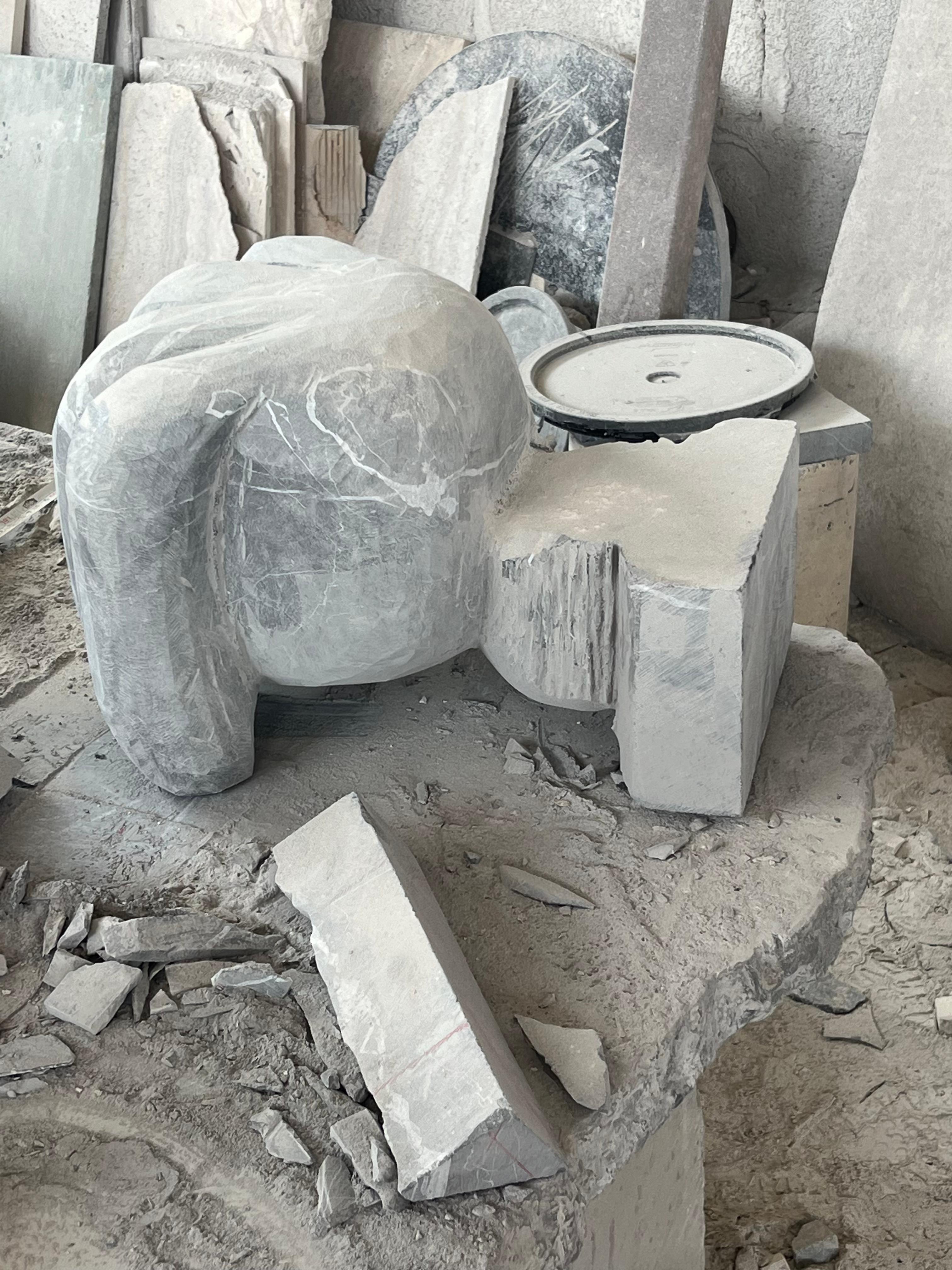 Noir Animal en venta 1