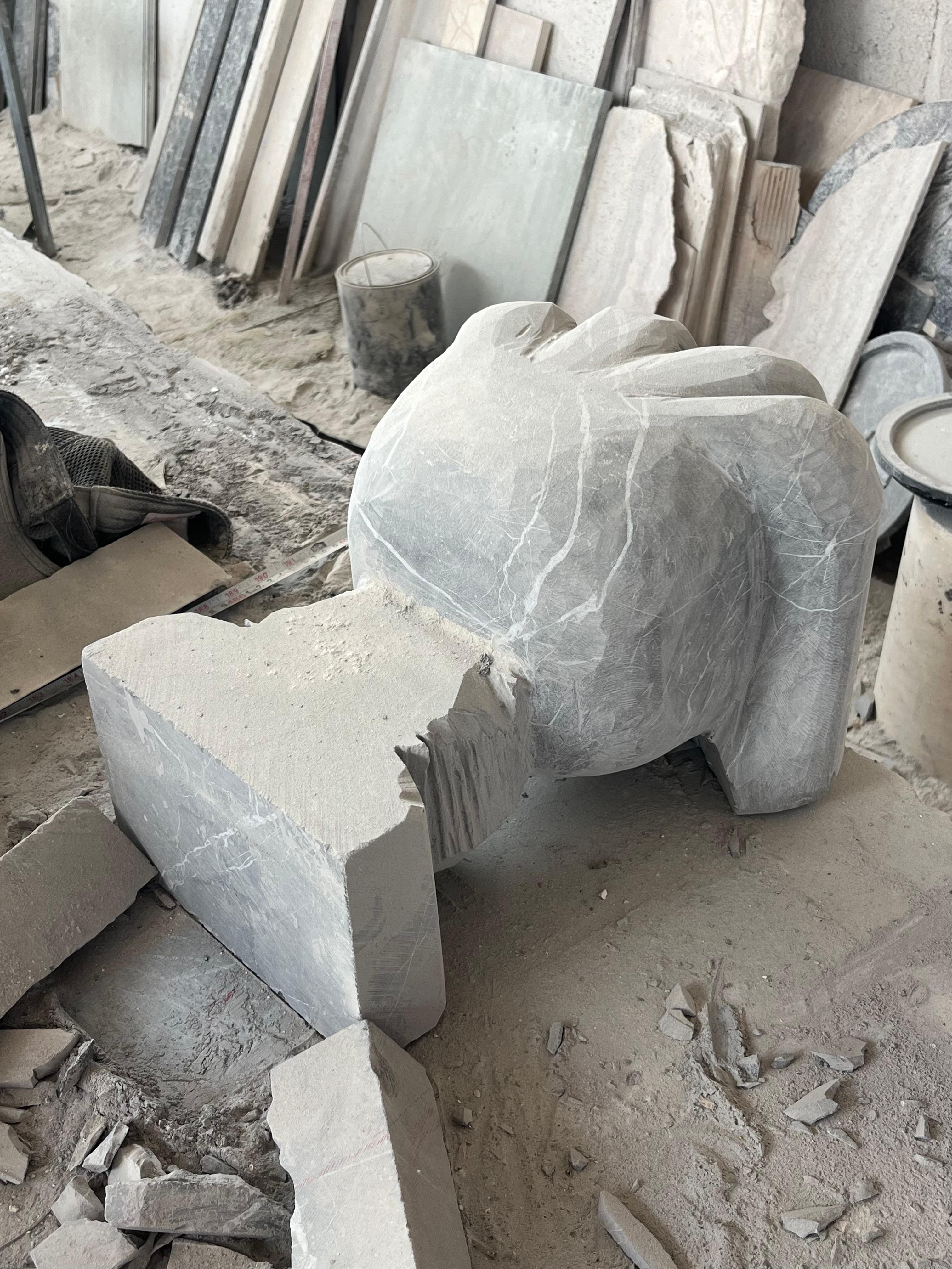 Noir Animal en venta 2