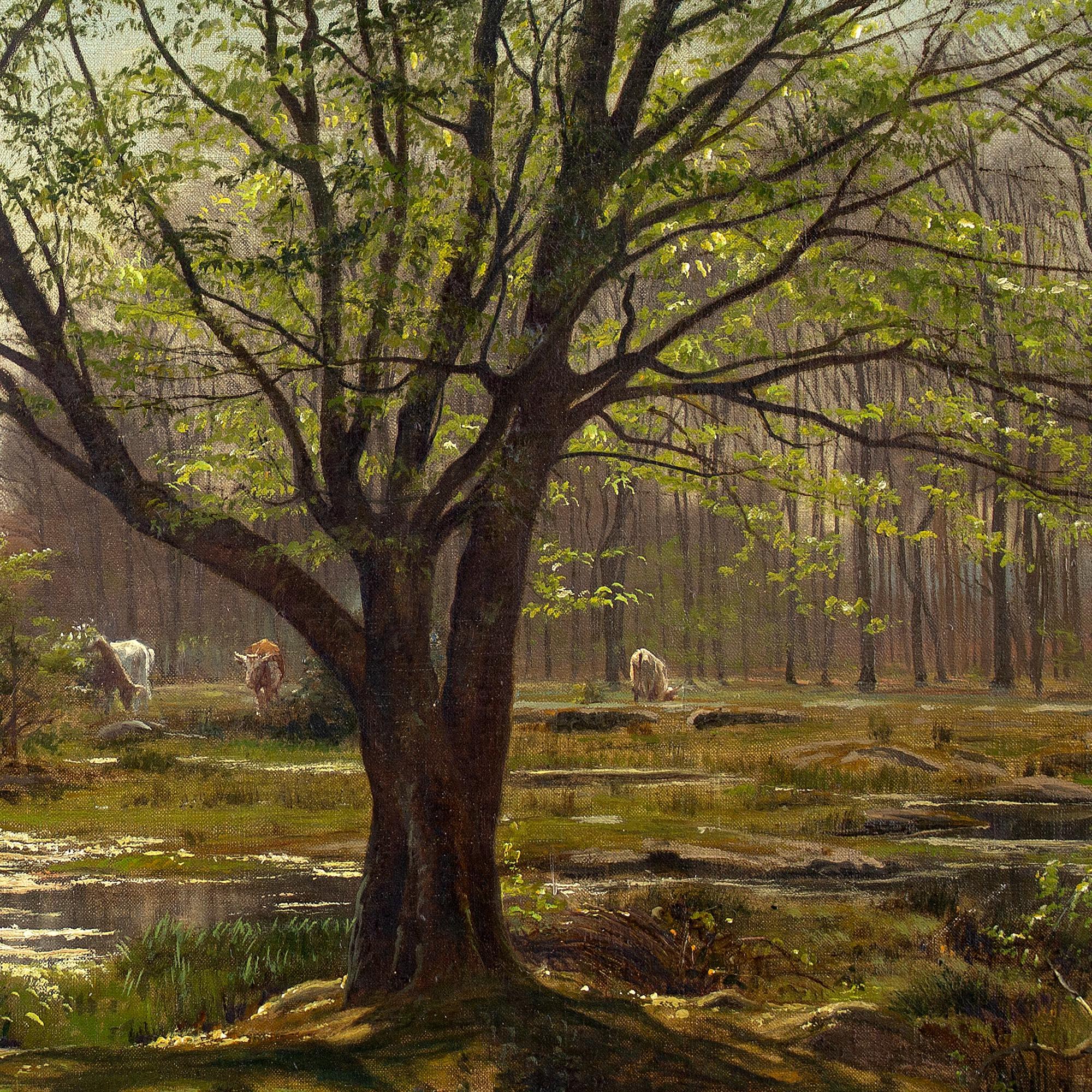 Christian Zacho, Printemps, Forêt de Fontainebleau, Mare Aux Fées 4