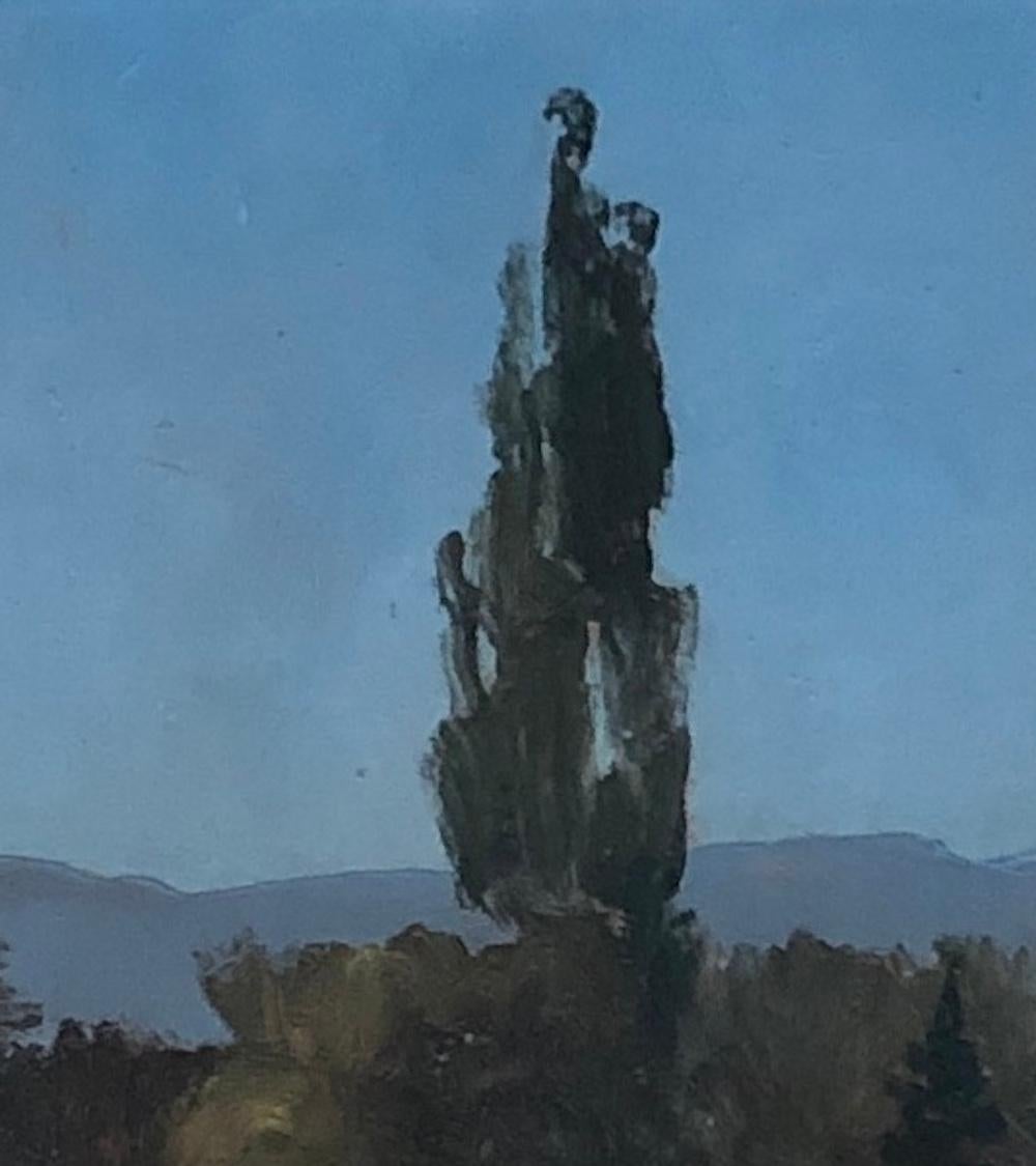 Paisaje rural en venta 1