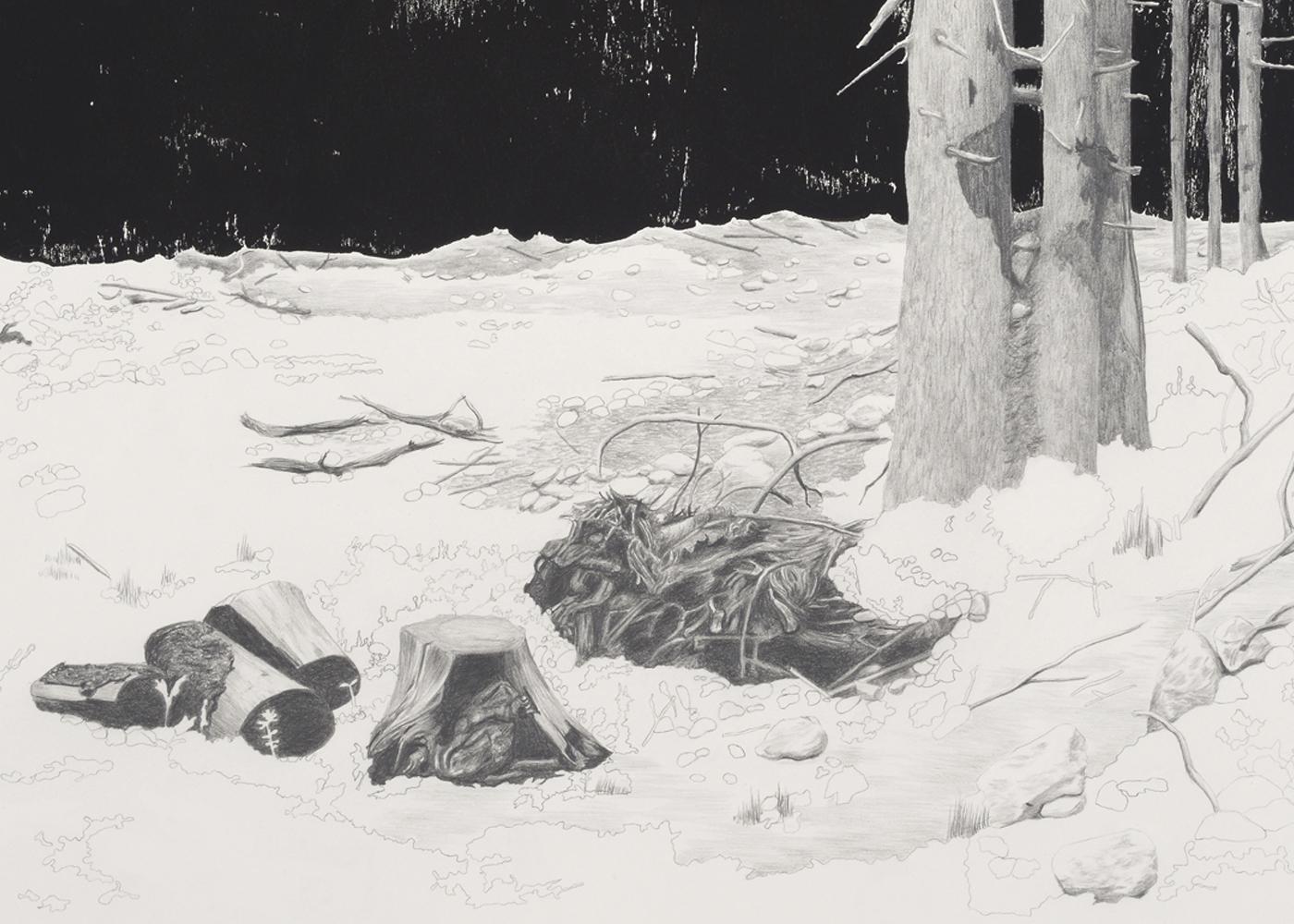 C G Schmidt, Schneise 1, woodblock print with pencil drawing of forest clearing - Art by Christiane Gerda Schmidt