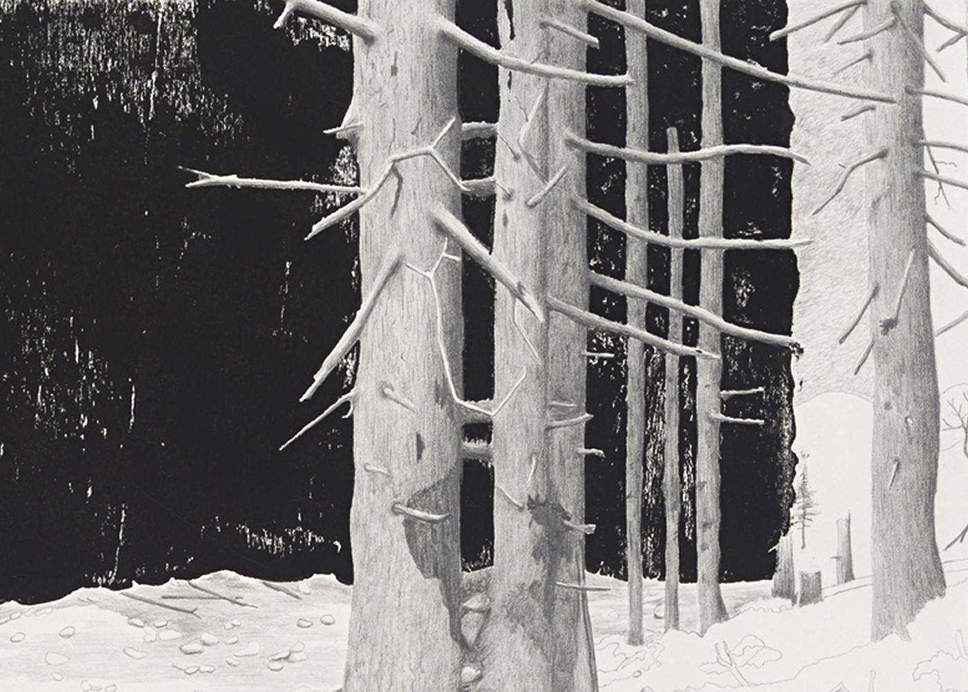 C G Schmidt, Schneise 1, woodblock print with pencil drawing of forest clearing - Realist Art by Christiane Gerda Schmidt