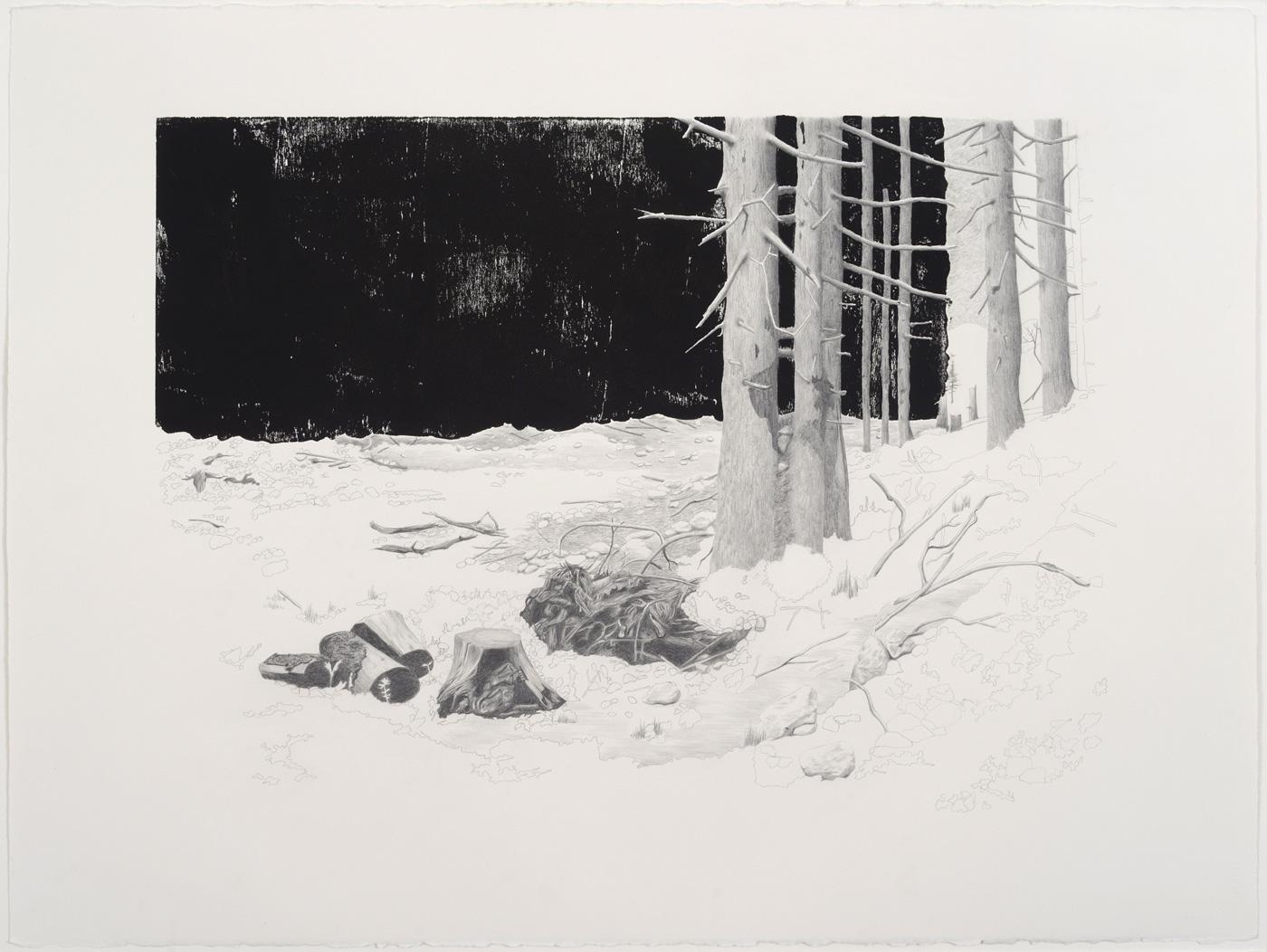 Christiane Gerda Schmidt Landscape Art - C G Schmidt, Schneise 1, woodblock print with pencil drawing of forest clearing