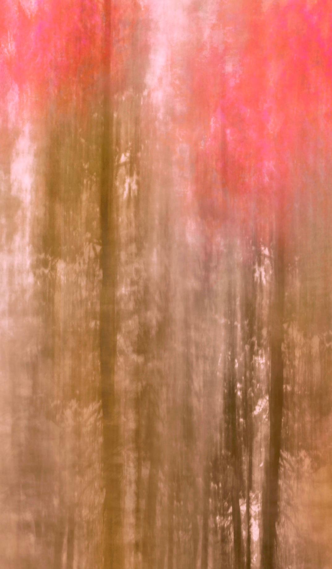 Mystical Lite Lines 2 - Orange Abstract Painting by Christina Craemer