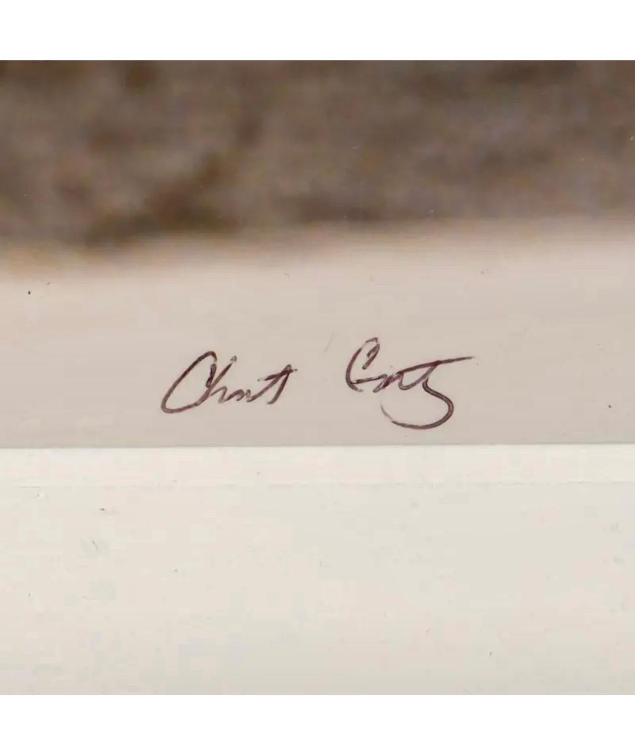 Christina Creutz  (Artista contemporaneo, 20°/21° secolo). 