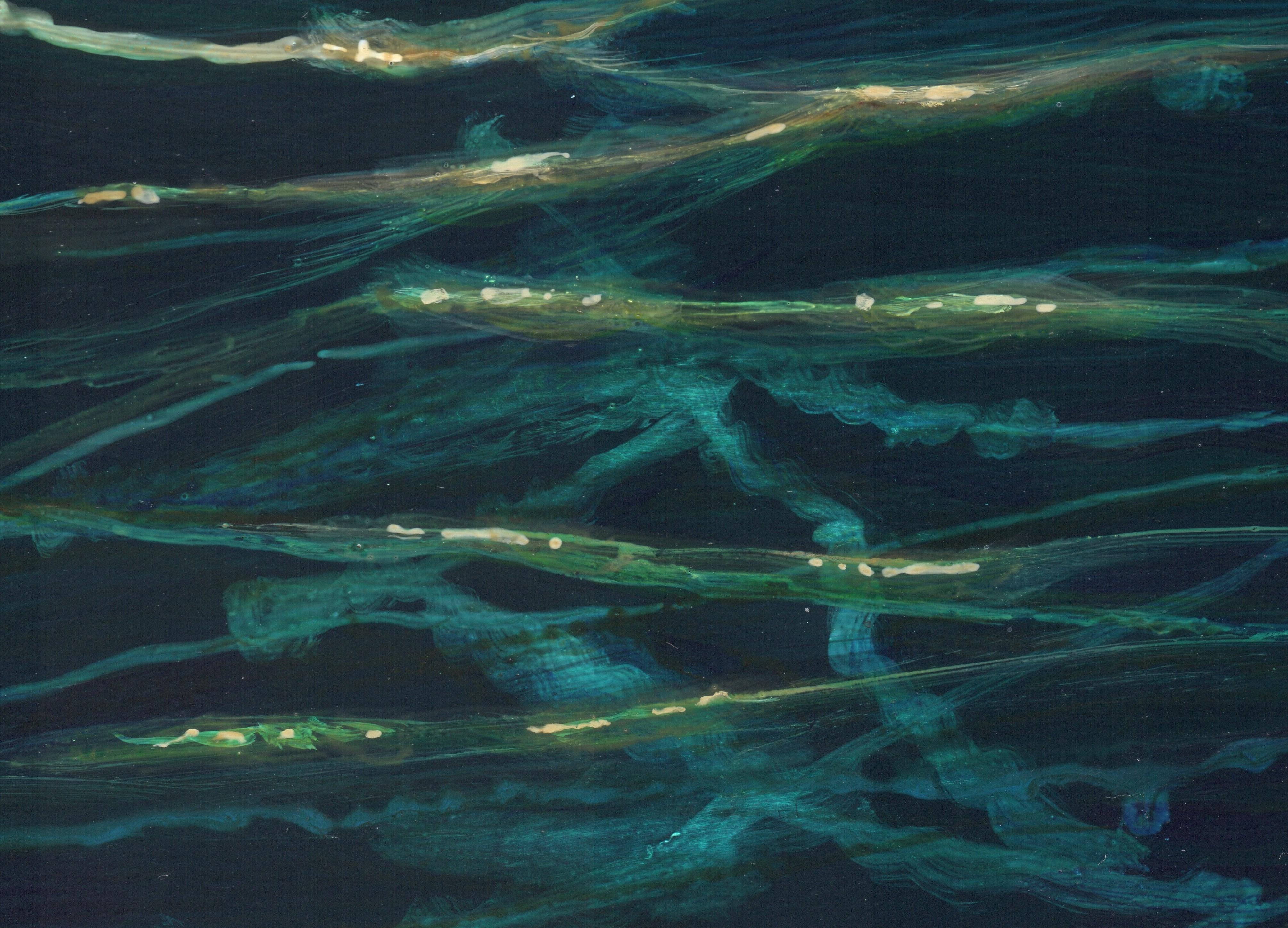 Ocean Current - Beleuchtete Papierlaterne auf tiefem Tealwasser, Acryl auf Tafel im Angebot 1