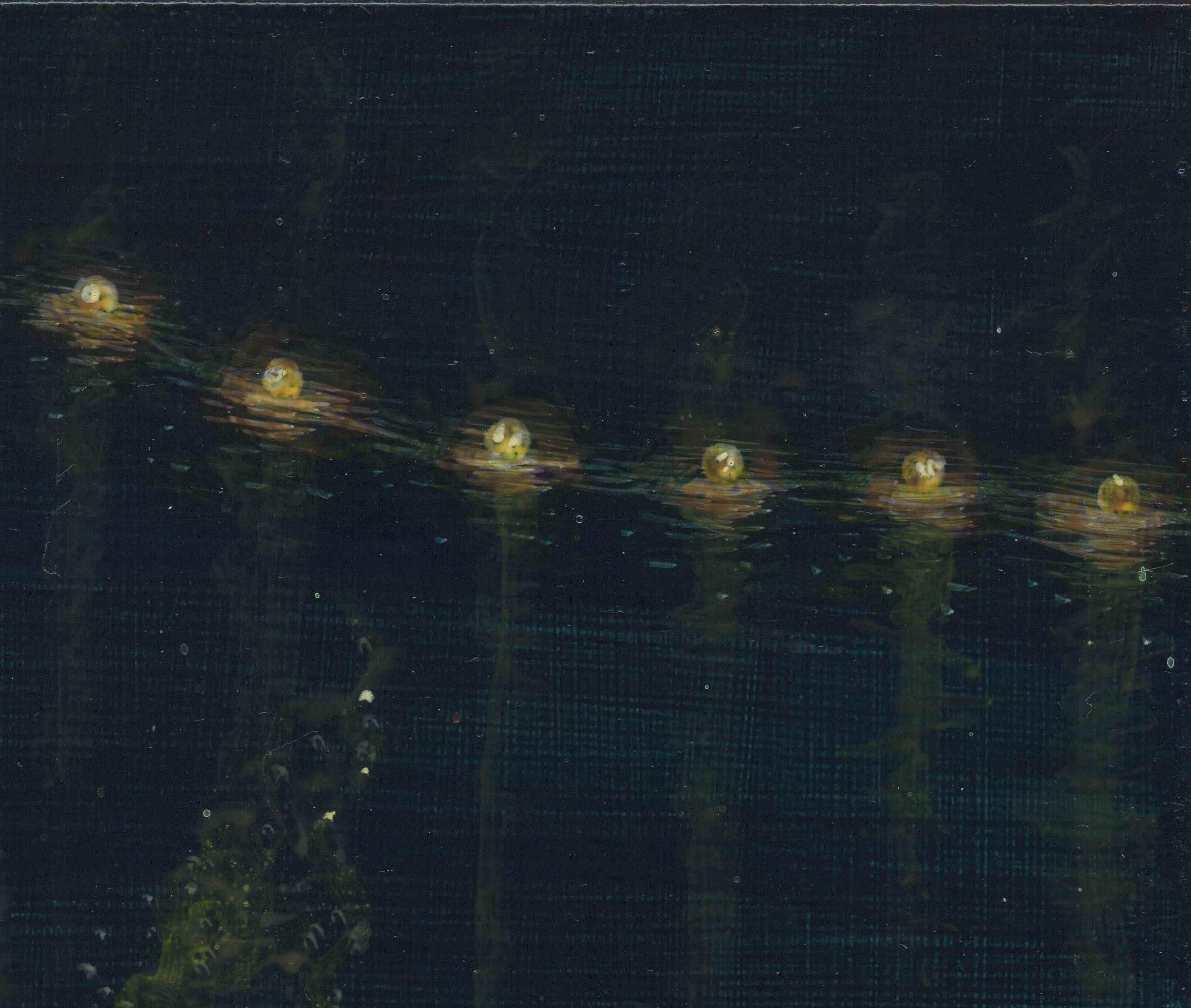 Ocean Pass, beleuchtete Papierlaternen auf dunklem Wasser, Acryl auf Tafel (Zeitgenössisch), Painting, von Christina Haglid
