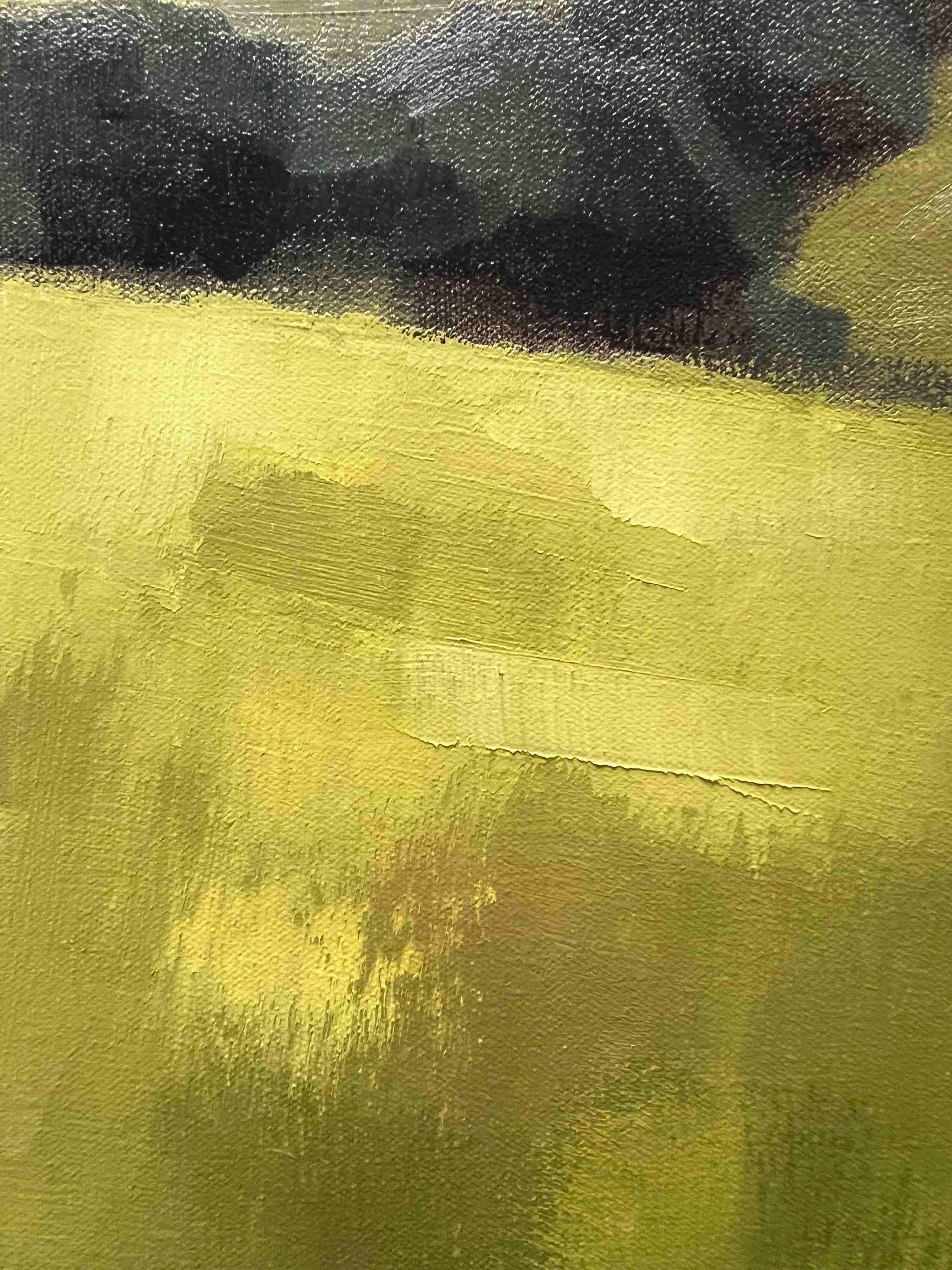 Paisaje californiano pintura al óleo original con montañas lejanas 2