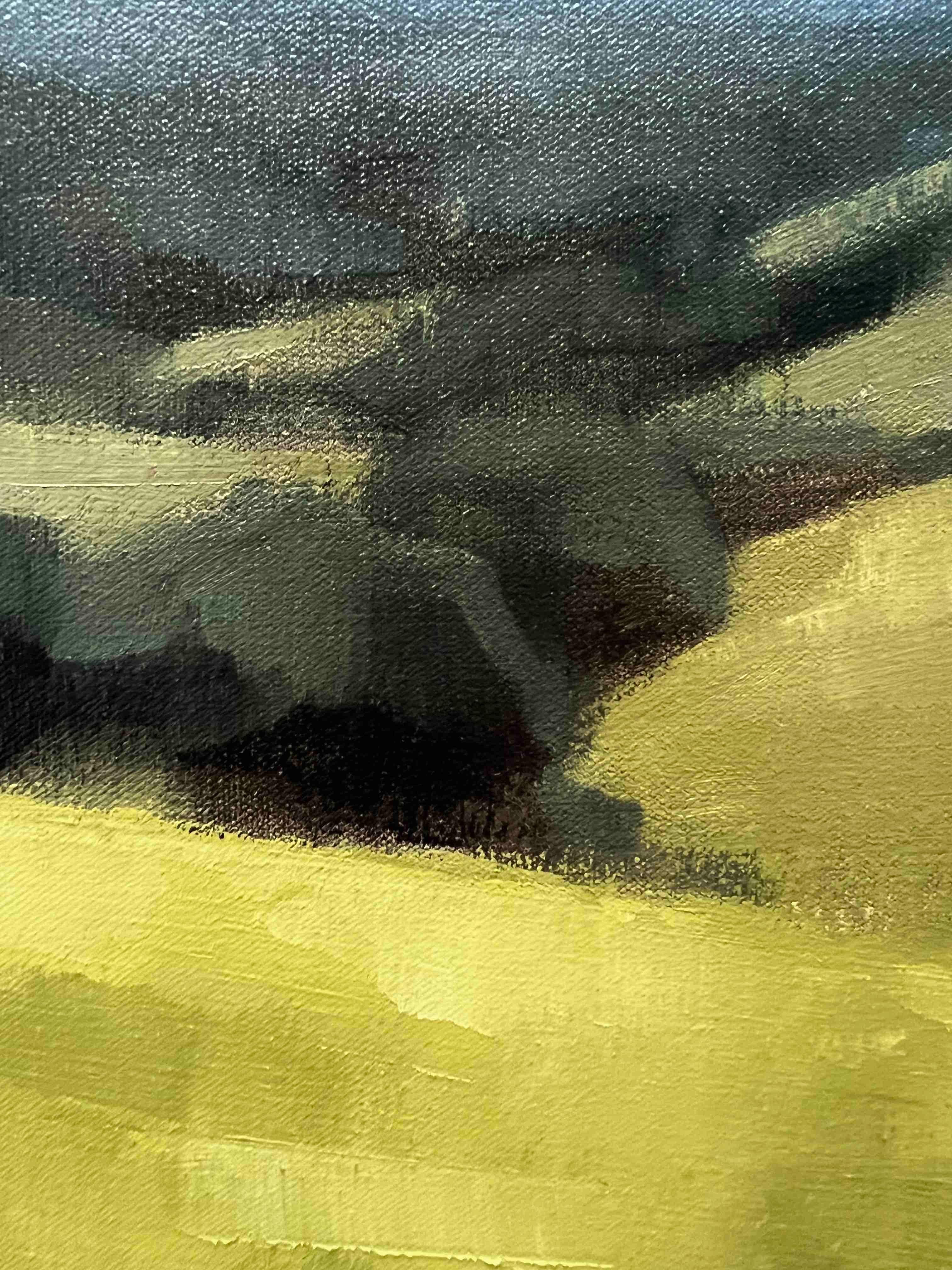 Paisaje californiano pintura al óleo original con montañas lejanas 3
