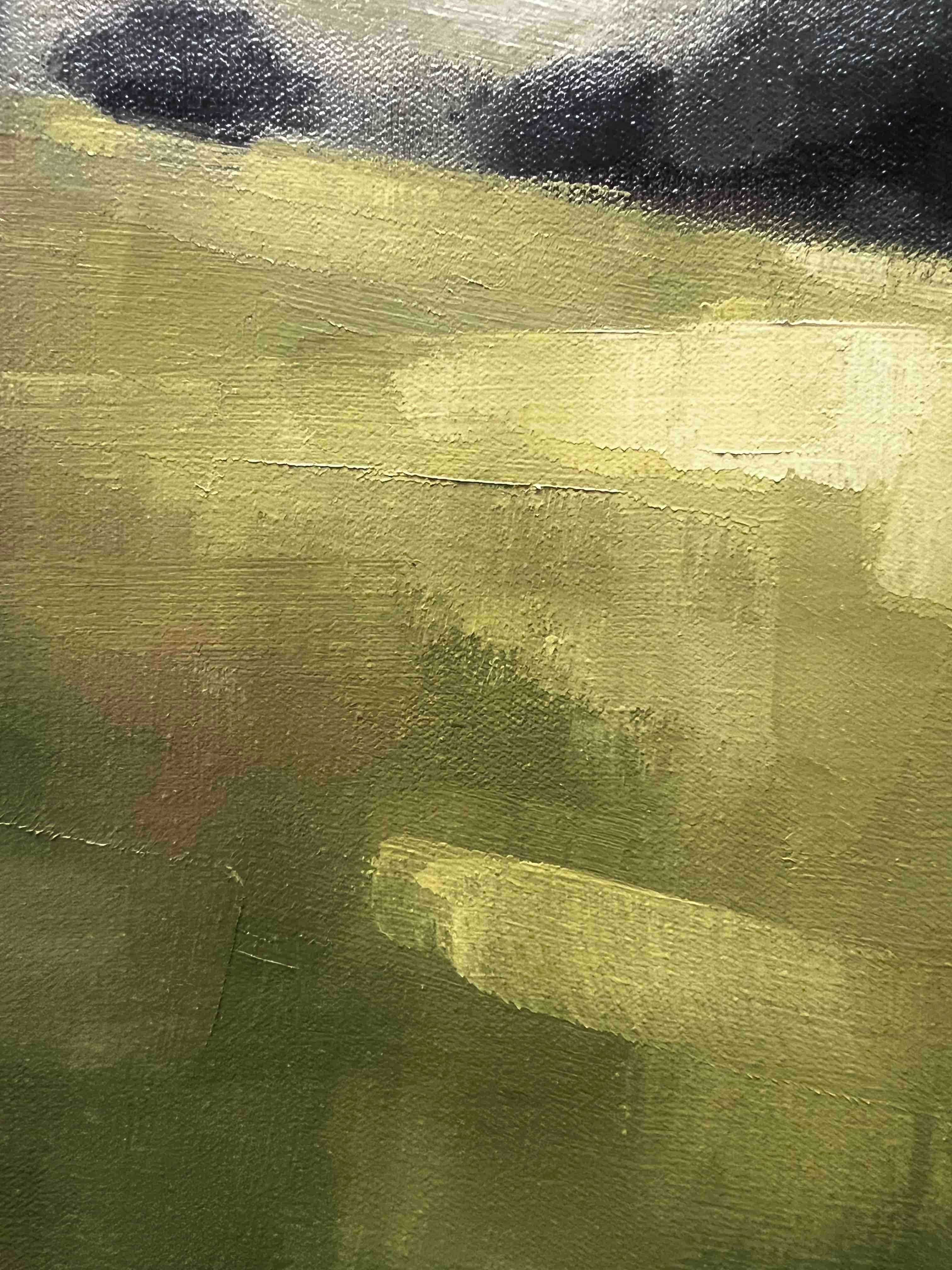 Paisaje californiano pintura al óleo original con montañas lejanas 4