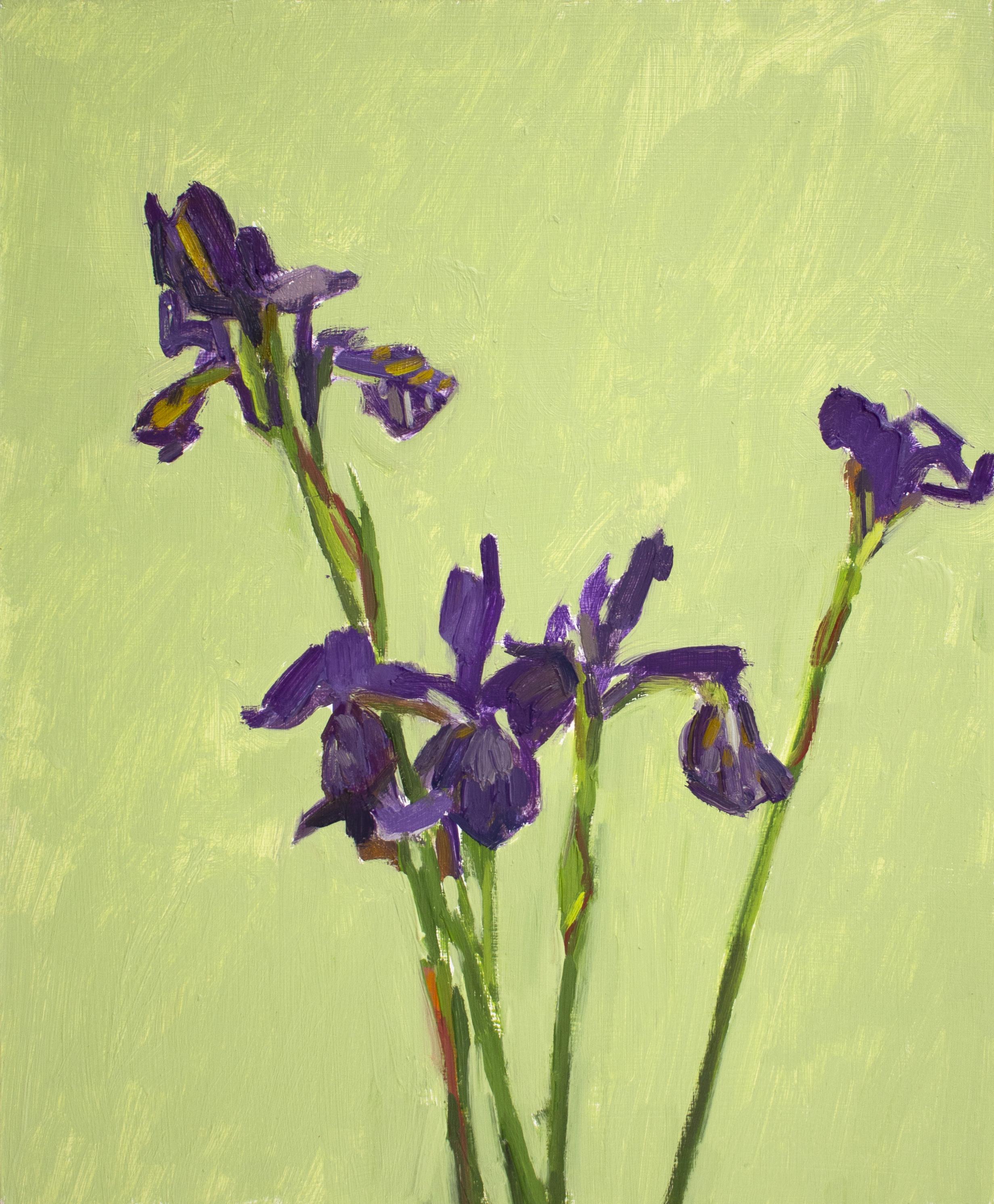 'Delicate Irises' - still life - floral, botanical, impressionism
