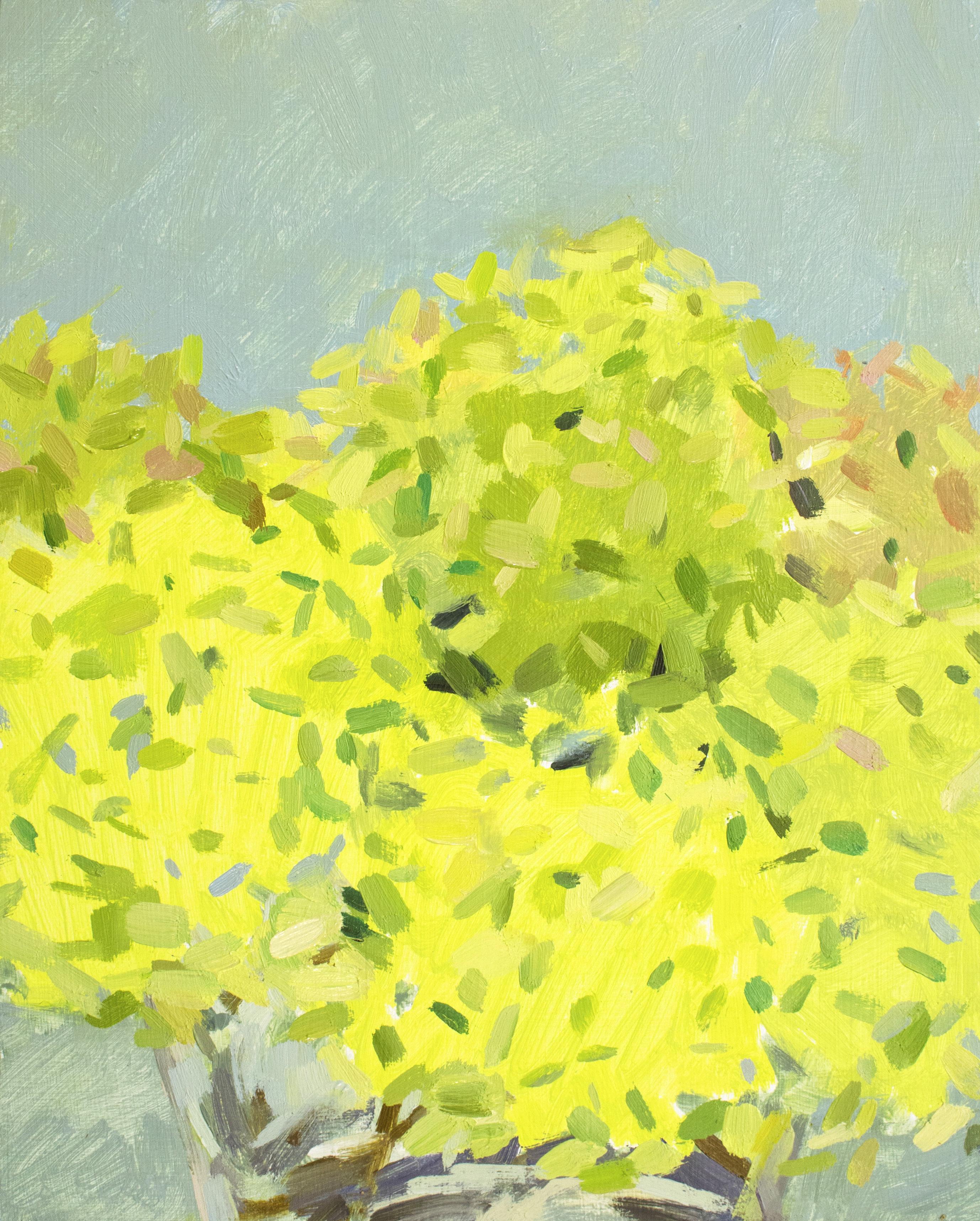 'Green Hydrangeas' - still life - floral, botanical, impressionism - Painting by Christina Renfer Vogel