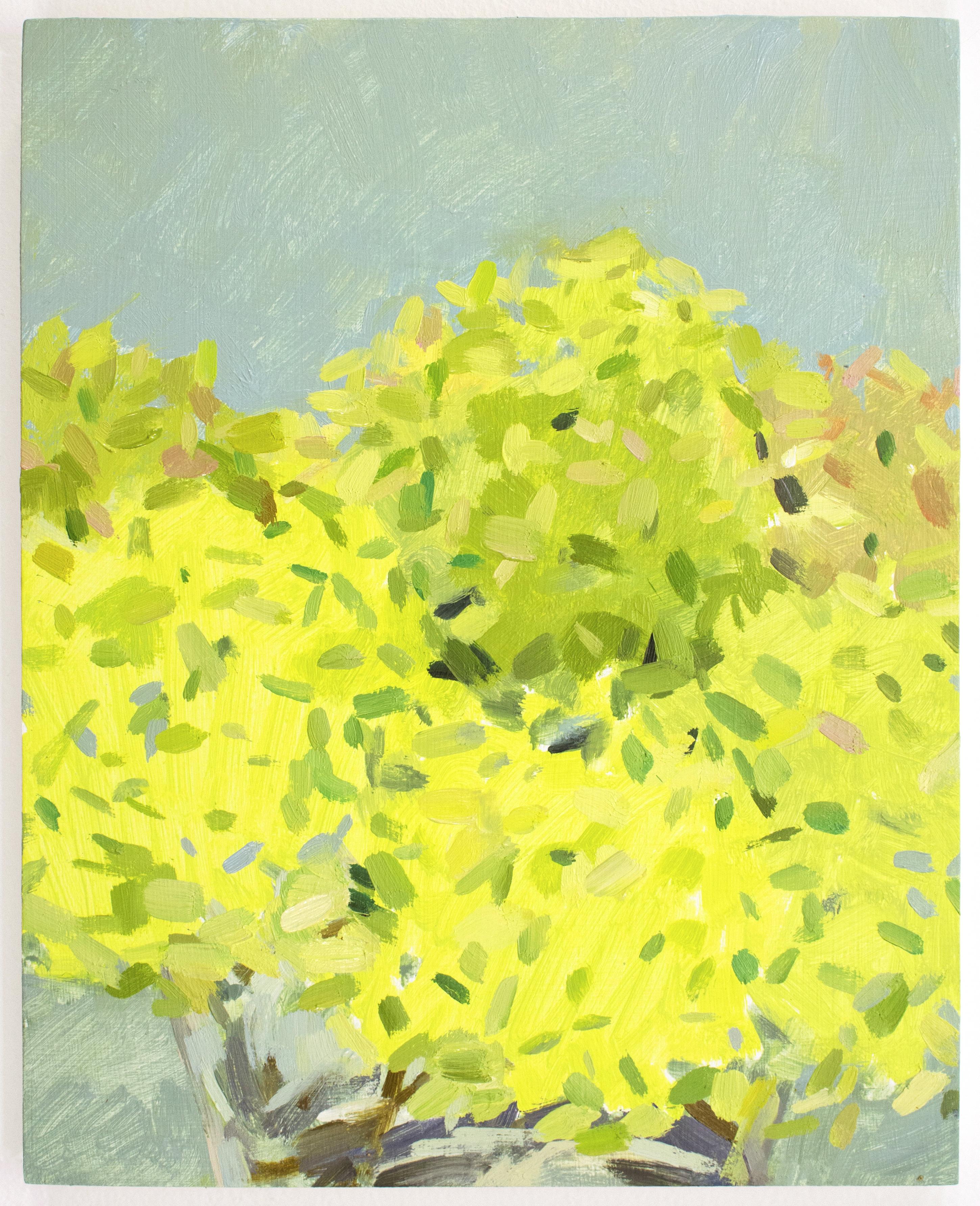 'Green Hydrangeas' - still life - floral, botanical, impressionism - Post-Impressionist Painting by Christina Renfer Vogel
