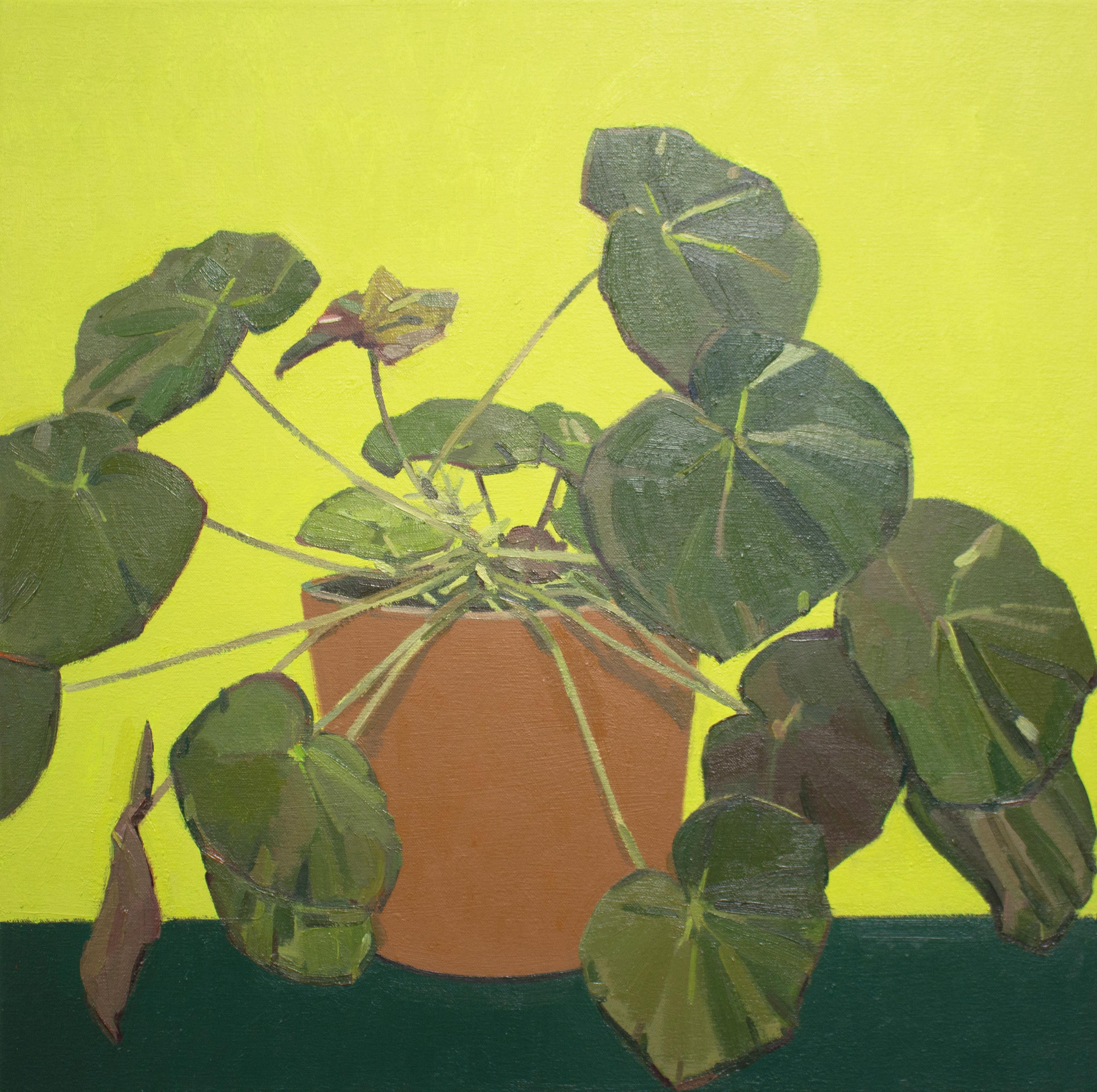 'Julia's Begonia' - still life - floral, botanical, naturalism, bright colors - Painting by Christina Renfer Vogel