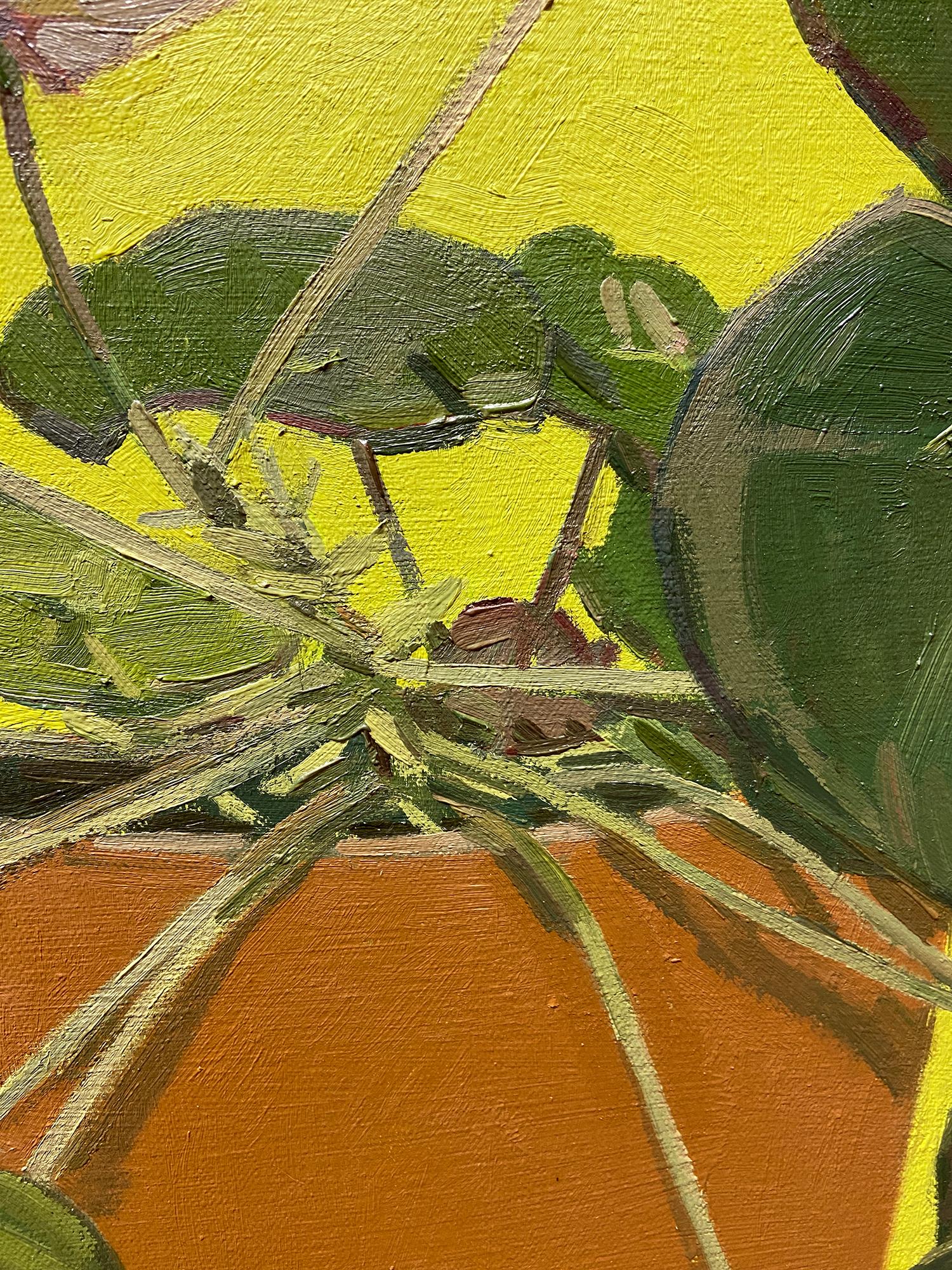 'Julia's Begonia' - nature morte - fleurs, botaniques, naturalisme, couleurs vives en vente 1