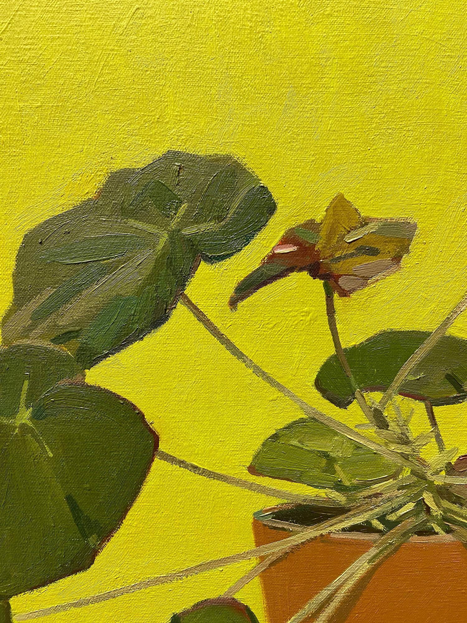 'Julia's Begonia' - still life - floral, botanical, naturalism, bright colors For Sale 2