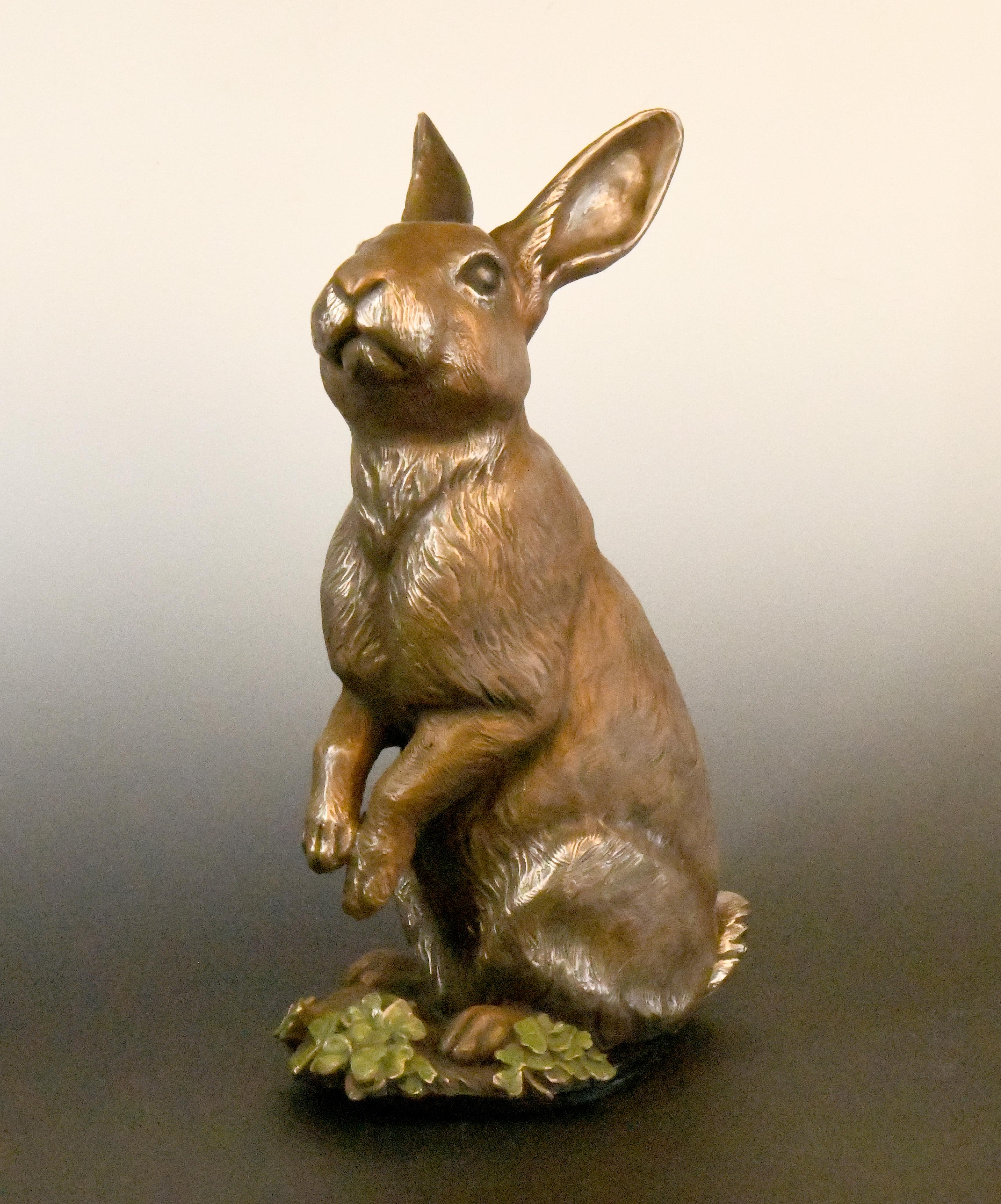Curious Cottontail