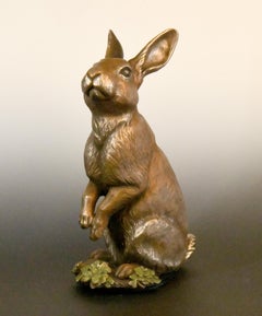 Neugieriger Cottontail