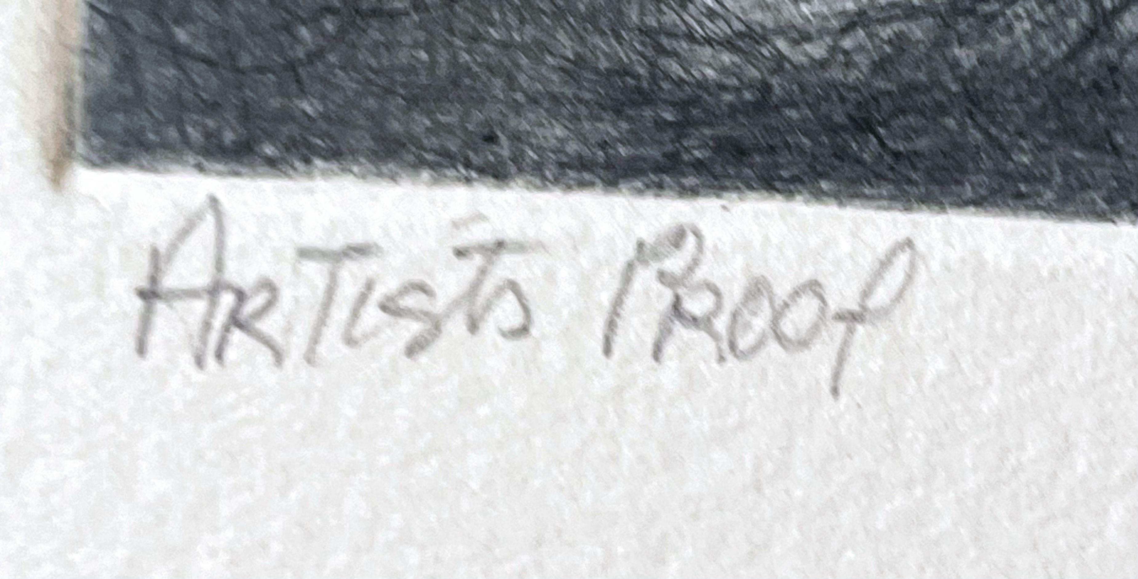 Great Horned Owl, Etching on paper, pencil signed, titled and annotated Proof - Gray Animal Print by Christine McGinnis