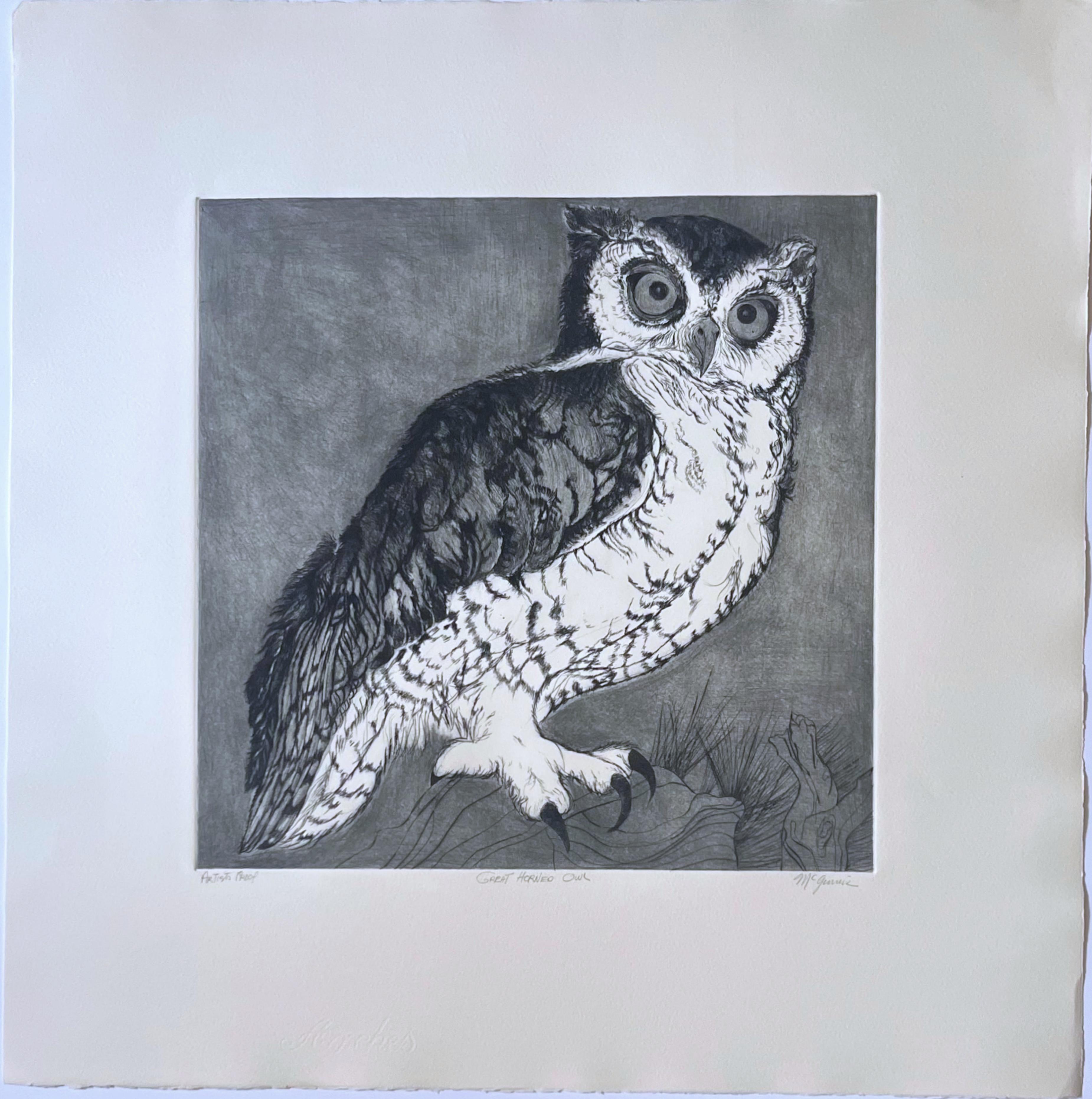 Great Horned Owl, Radierung auf Papier, mit Bleistift signiert, betitelt und mit Anmerkungen versehen Proof