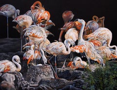 Christine Pultz - Französisches zeitgenössisches Tiergemälde von Christine Pultz – Concerto di Fenicotteri Französisches zeitgenössisches Tiergemälde von Christine Pultz – Concerto di Fenicotteri