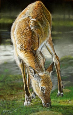 French Contemporary Animal Painting by Christine Pultz - Erre Dans Les Bois